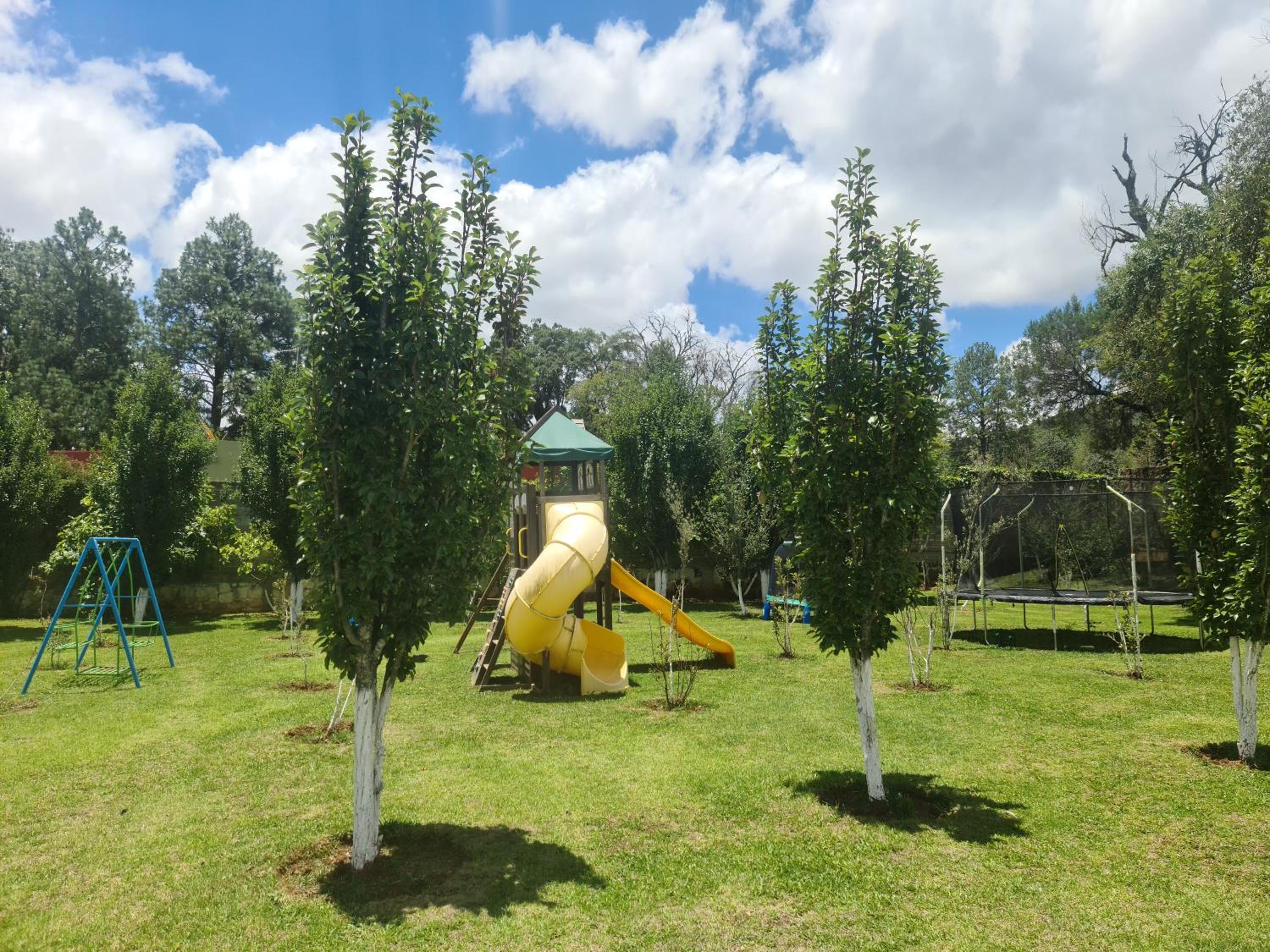 Finca Los Angeles Hospederia & Sociales view 4
