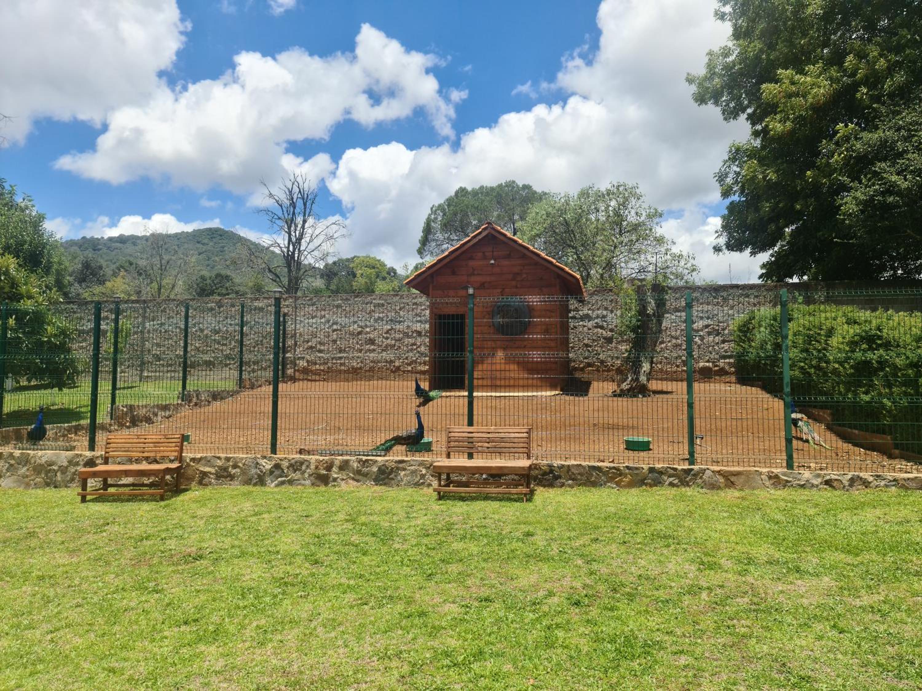 Finca Los Angeles Hospederia & Sociales view 3