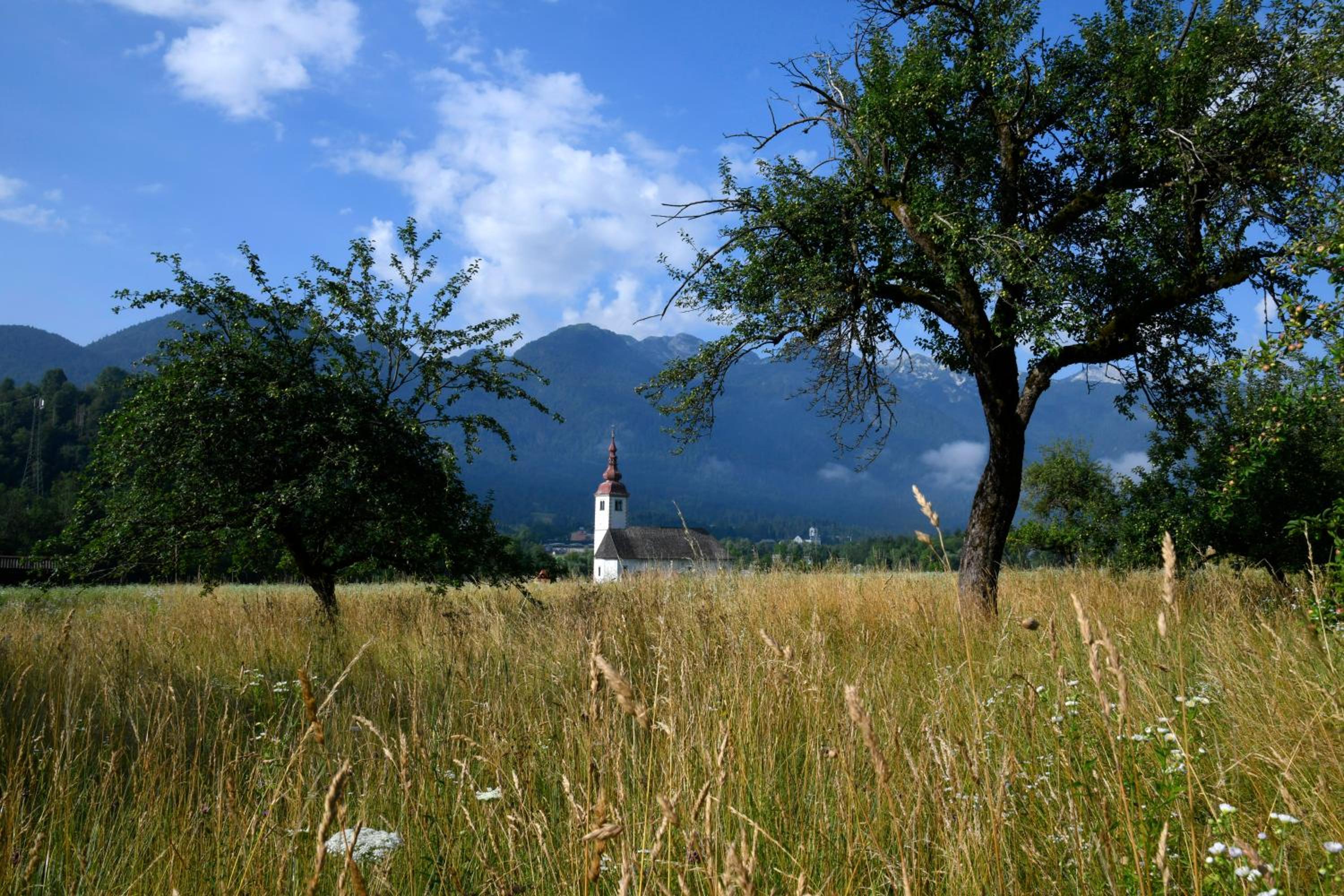 Photo 26