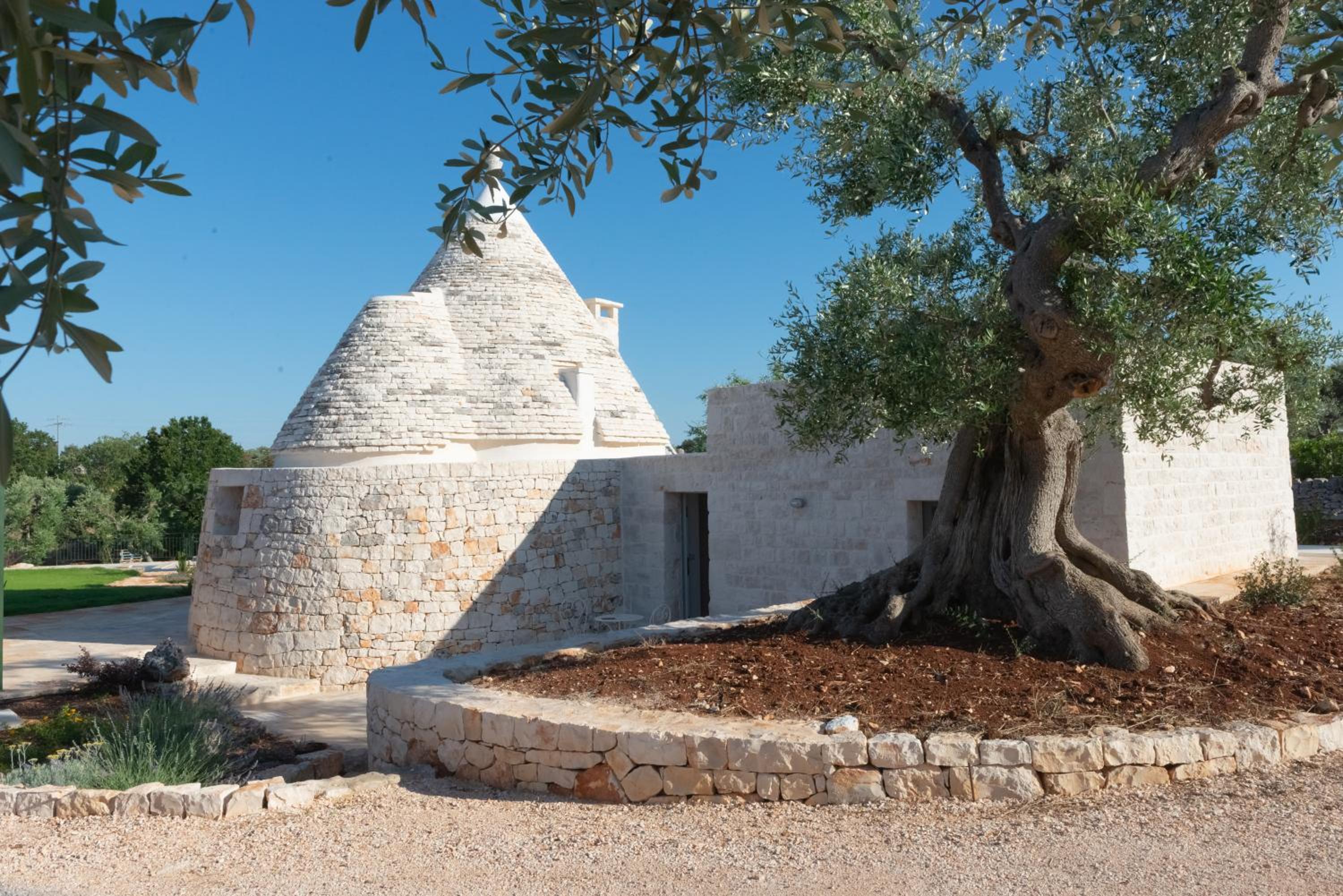 Il nido delle rondini photo 5