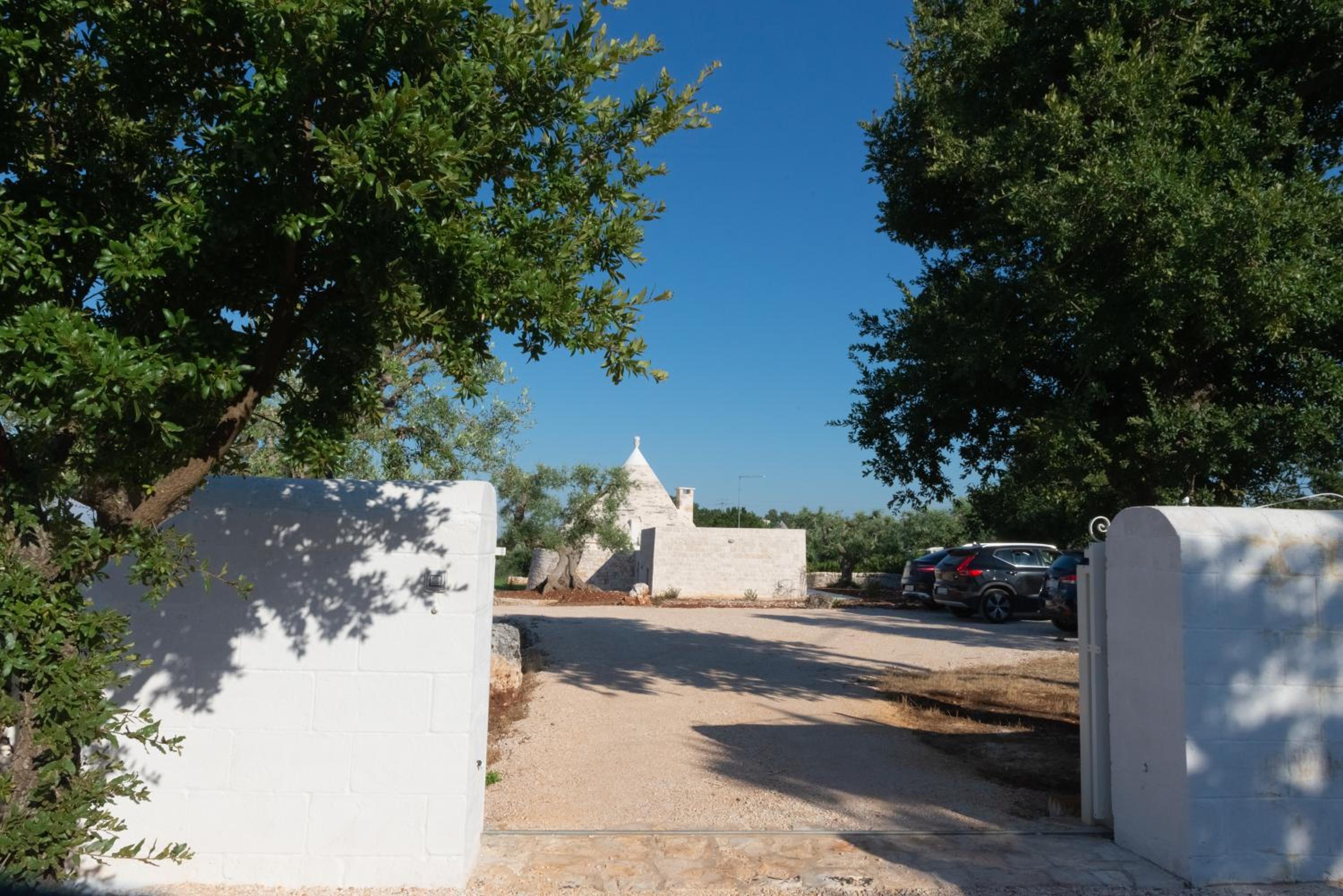 Photo 23