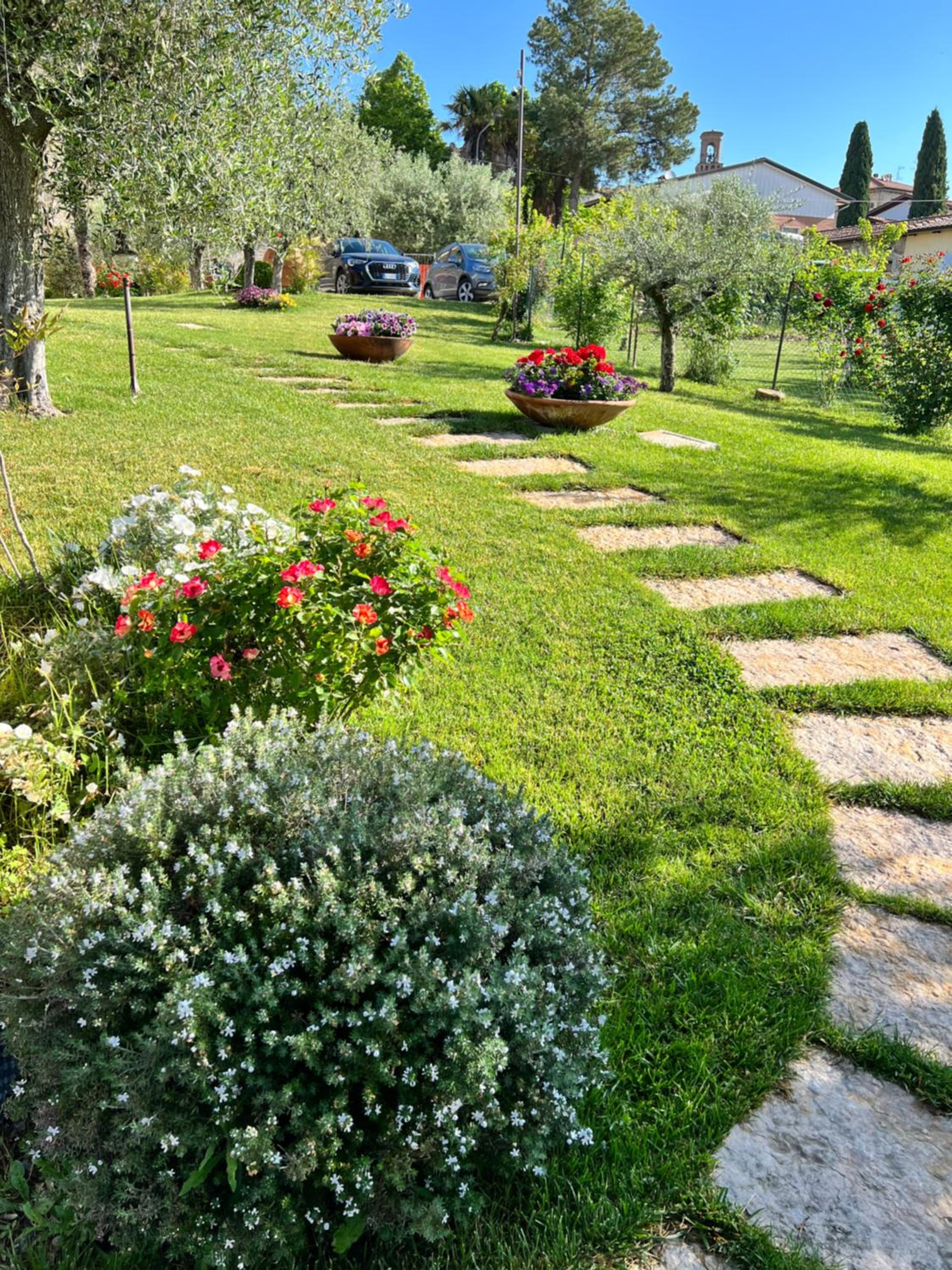 Photo 16