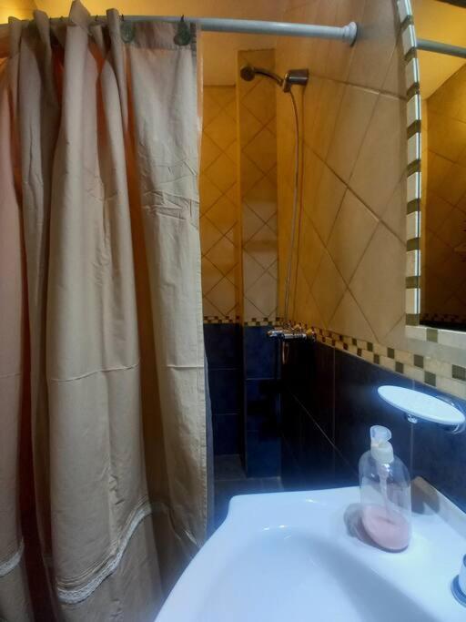 DEPARTAMENTO AMPLIO EN SAN LUIS