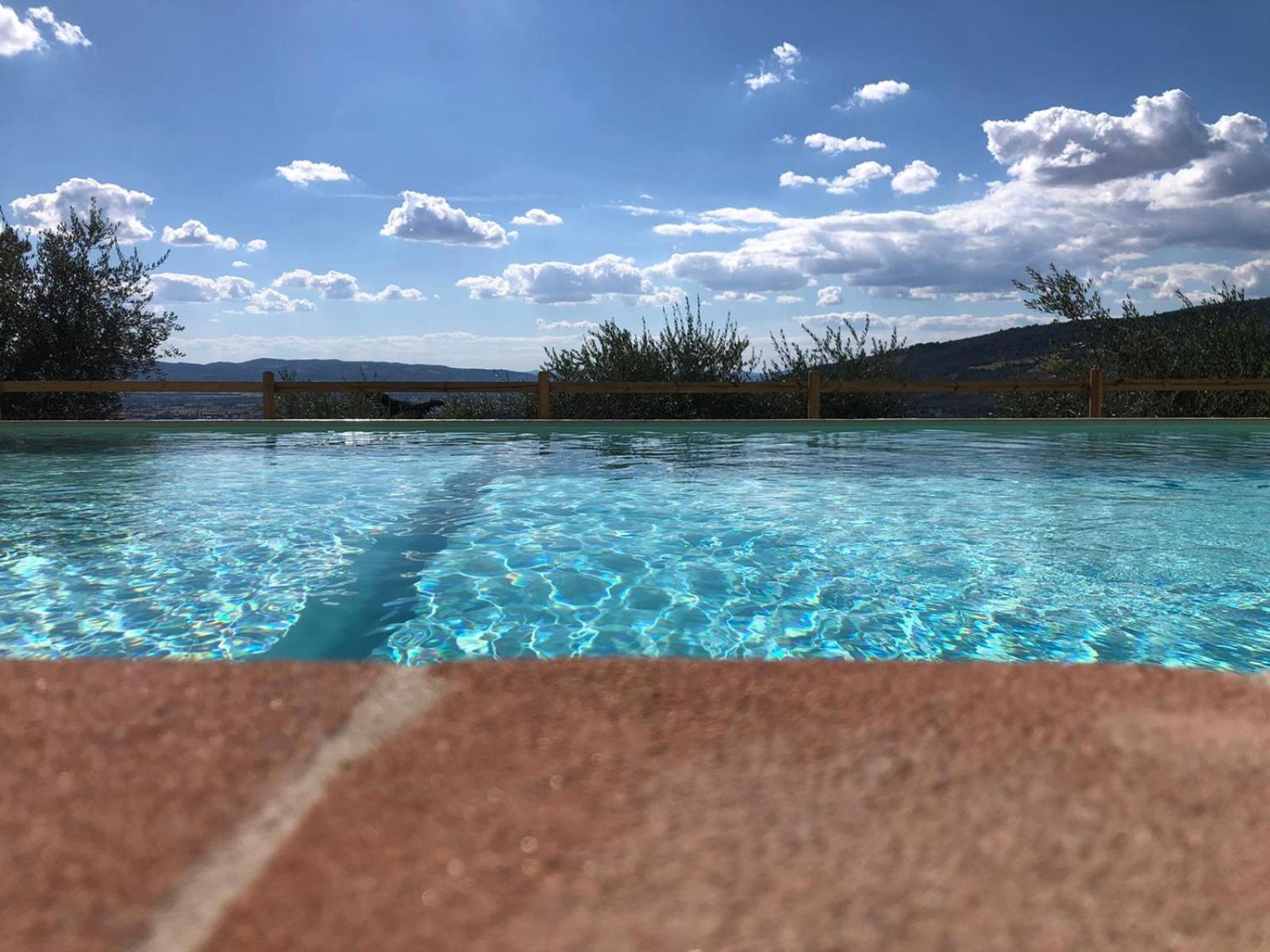 Azienda Agrituristica Il Moraiolo view 4