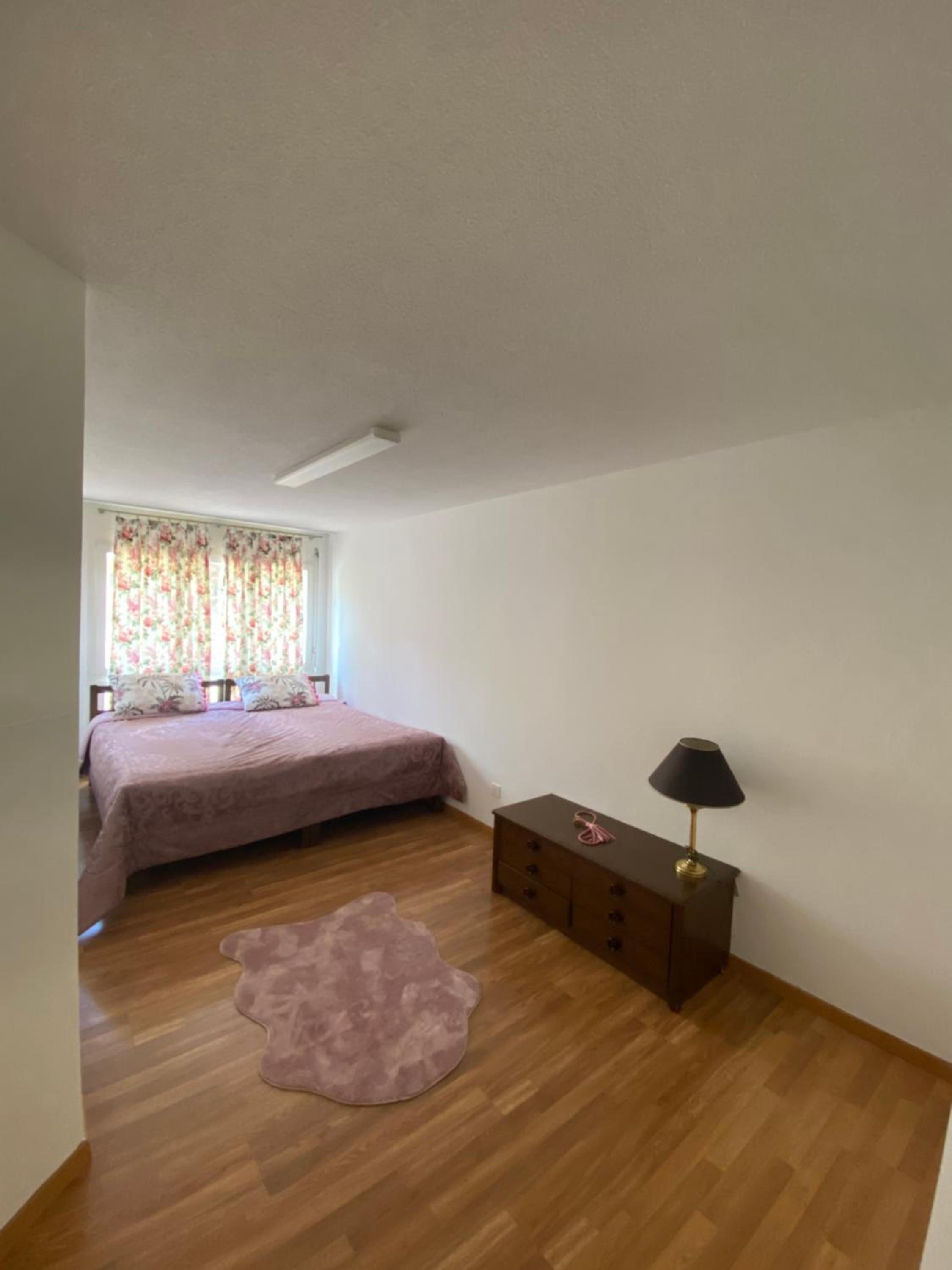 Get Cozy Family Flat Zürich view 2