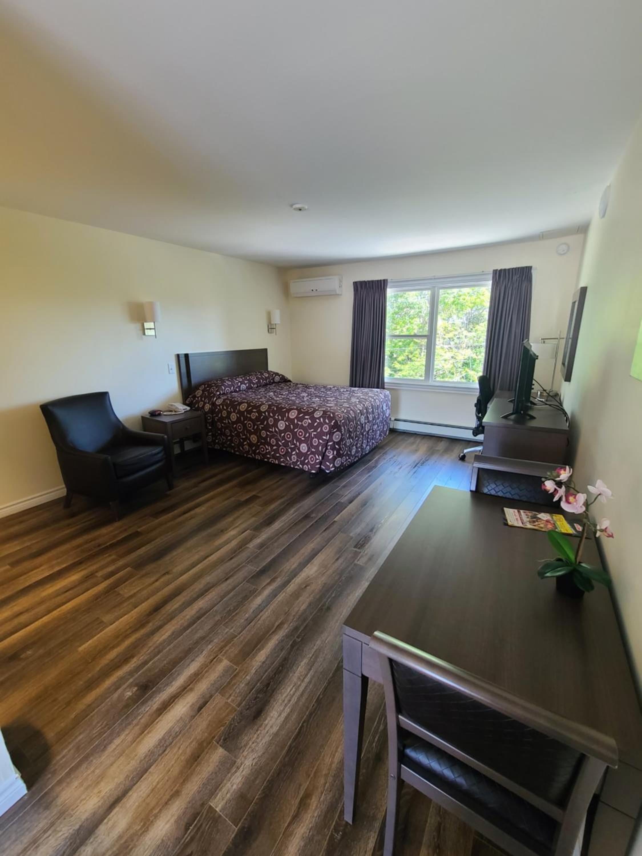 Stardust Motel - Bedford