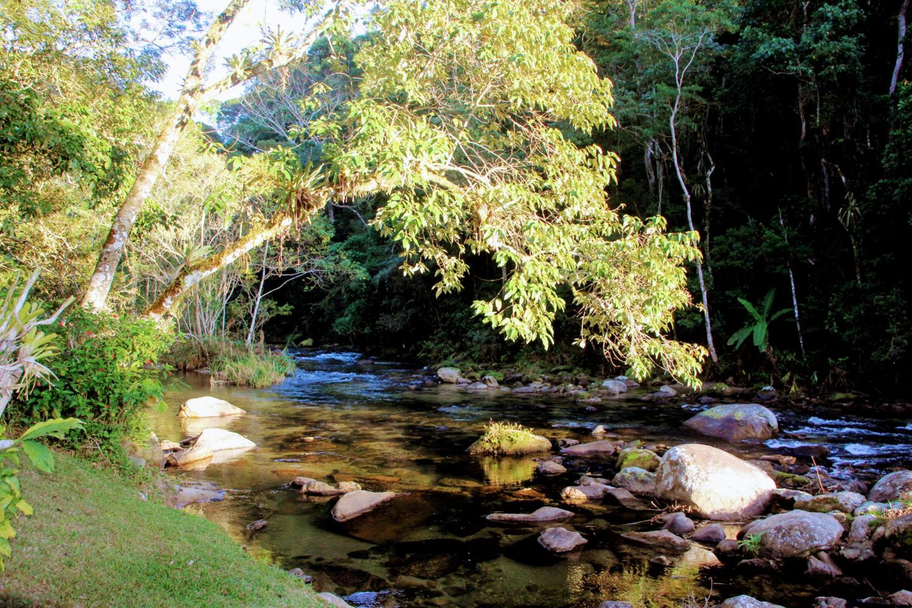Brilho do Sol - Lumiar