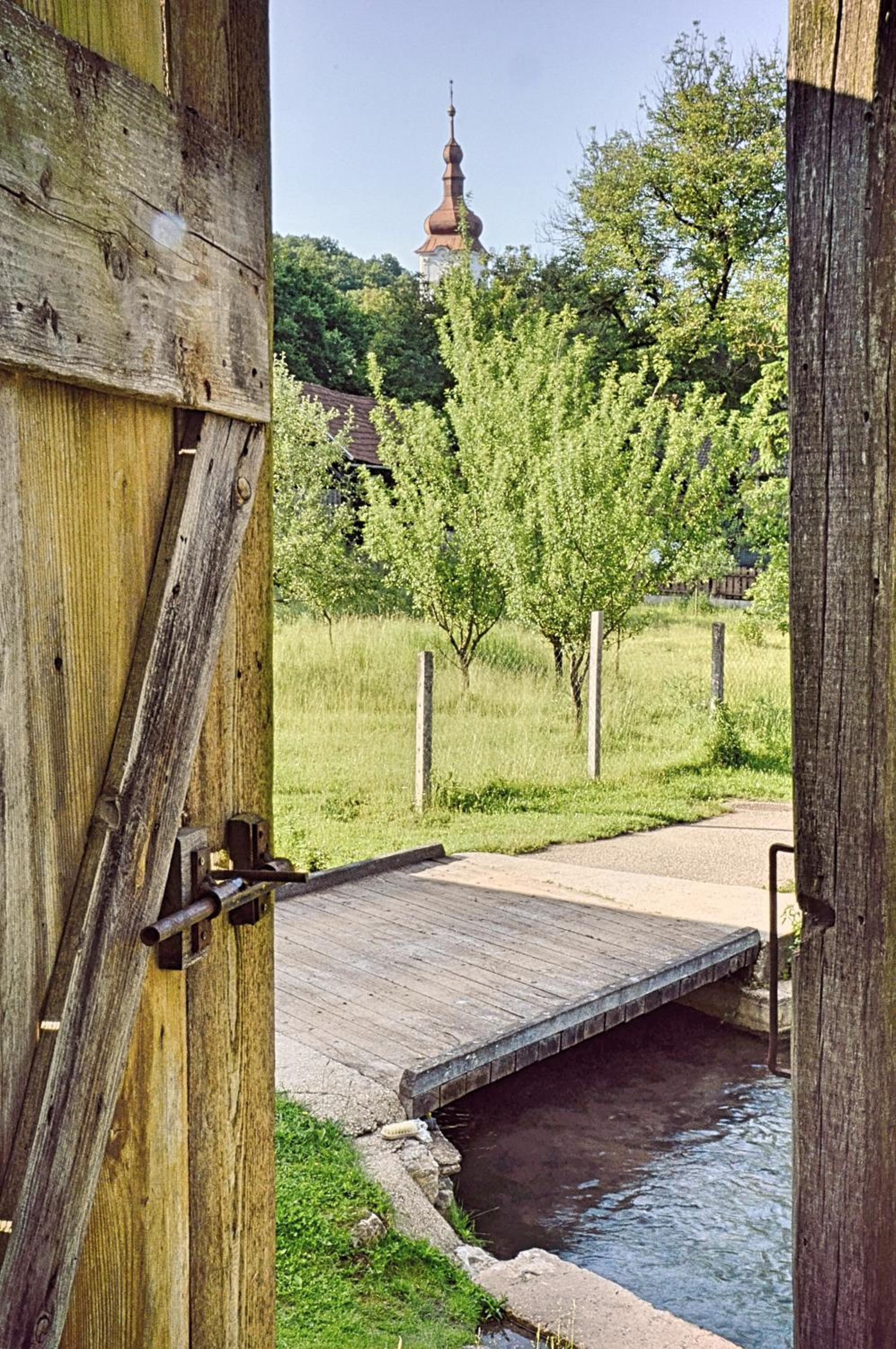 Photo 31