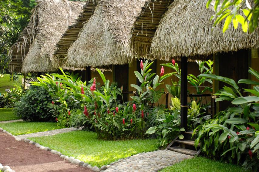 Picocanoa Rodavento