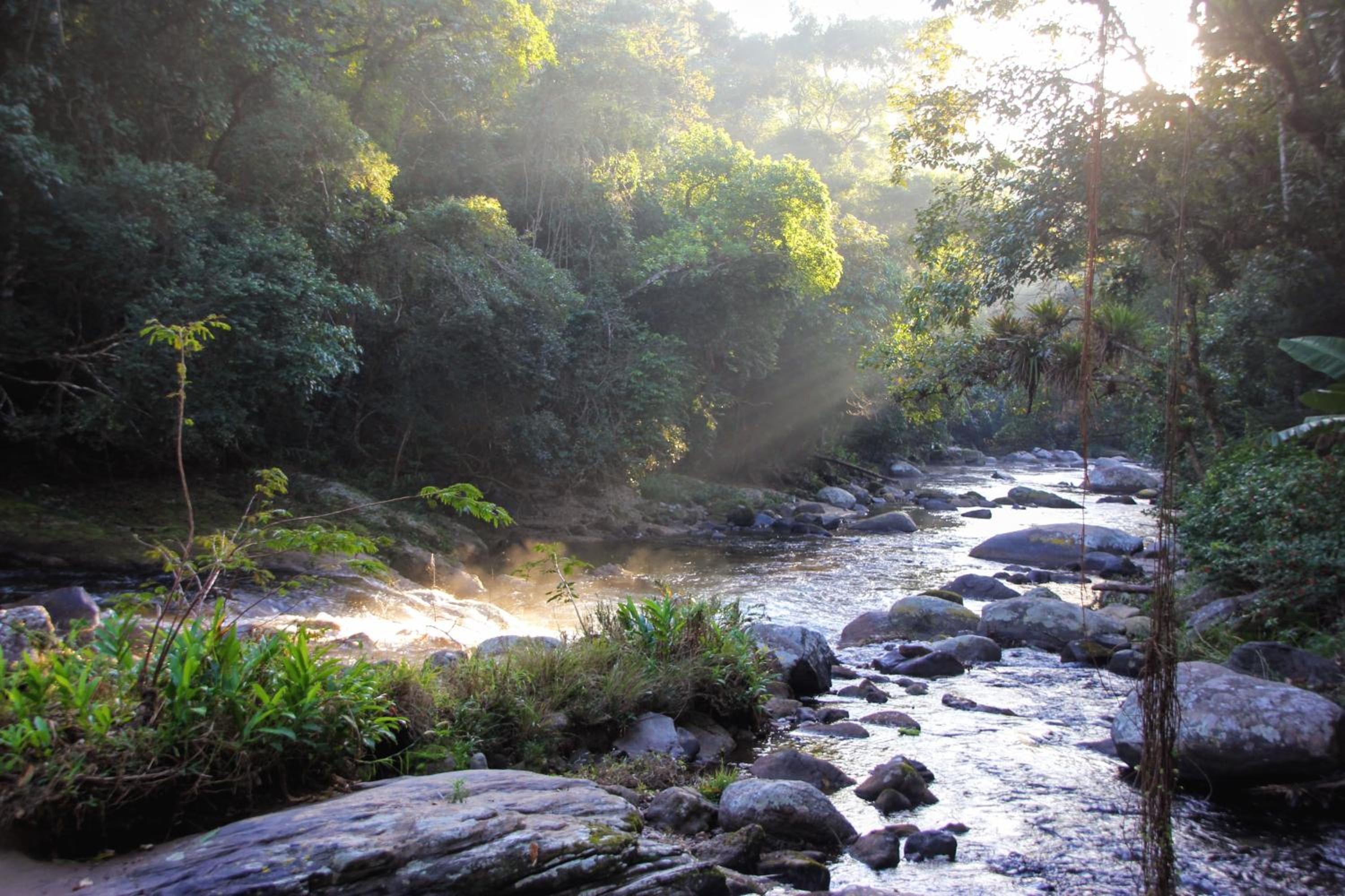 Brilho do Sol - Lumiar