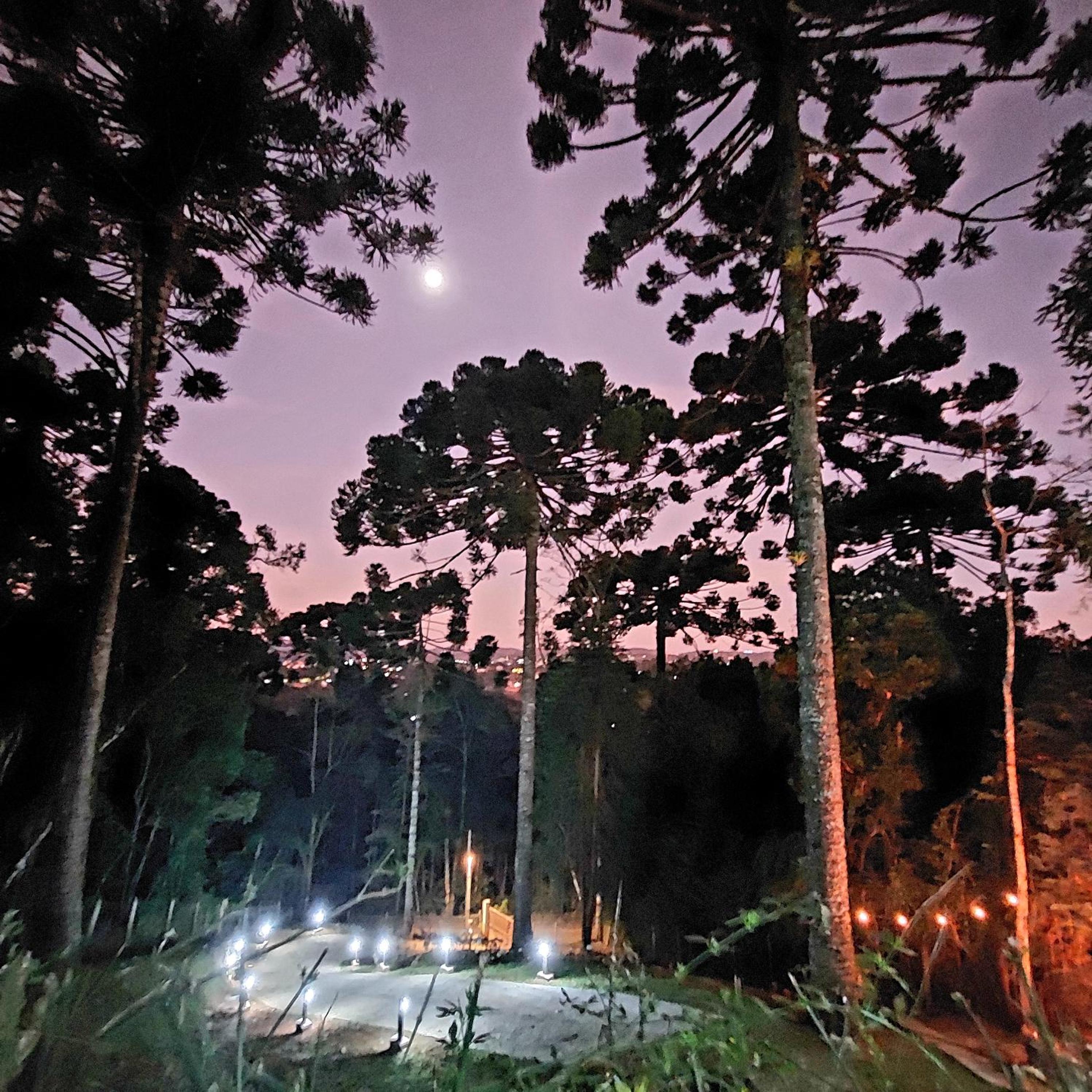 Chalé Rústico na Montanha em Campos de Jordão view 3