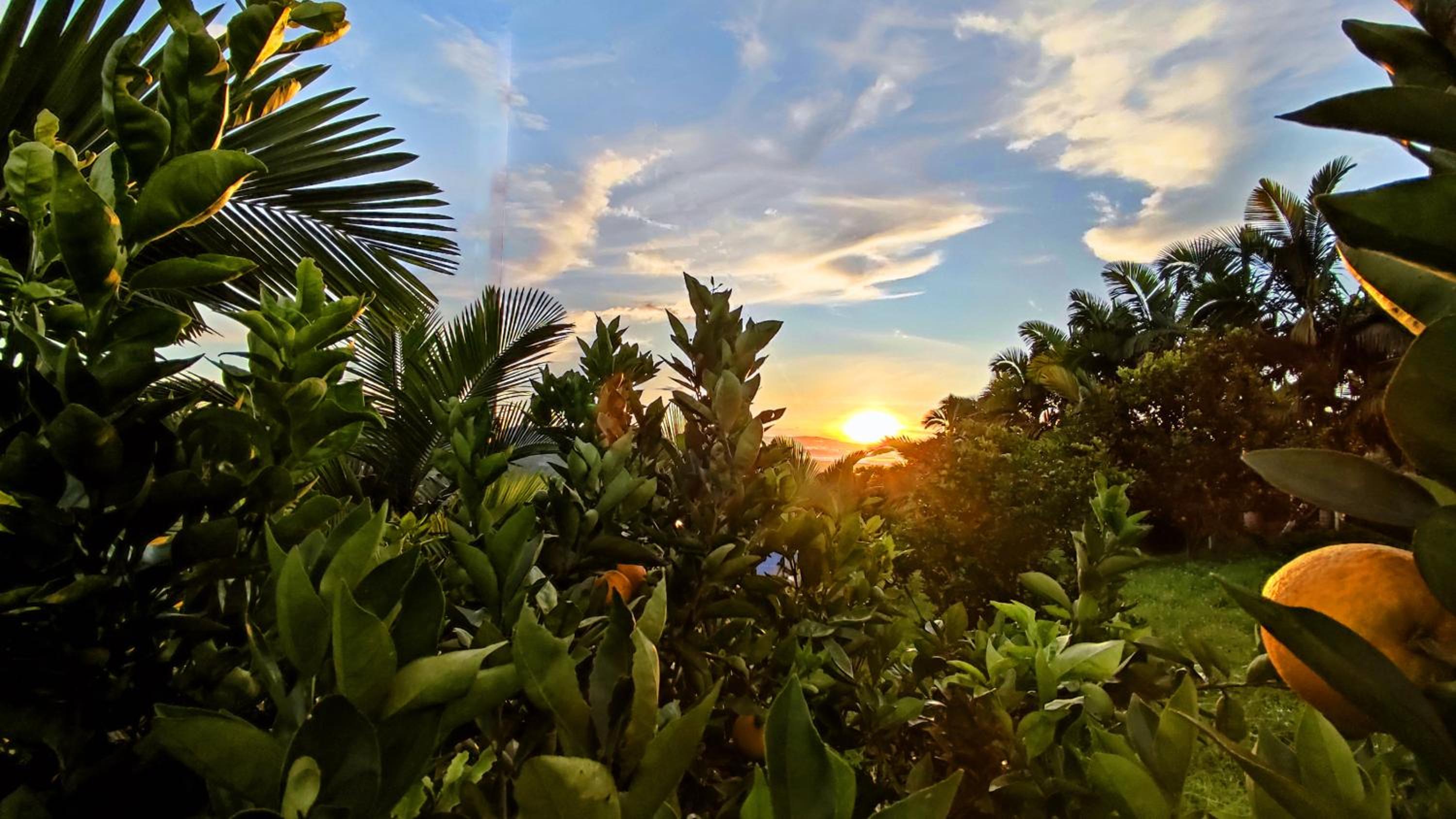 Finca El Recuerdo