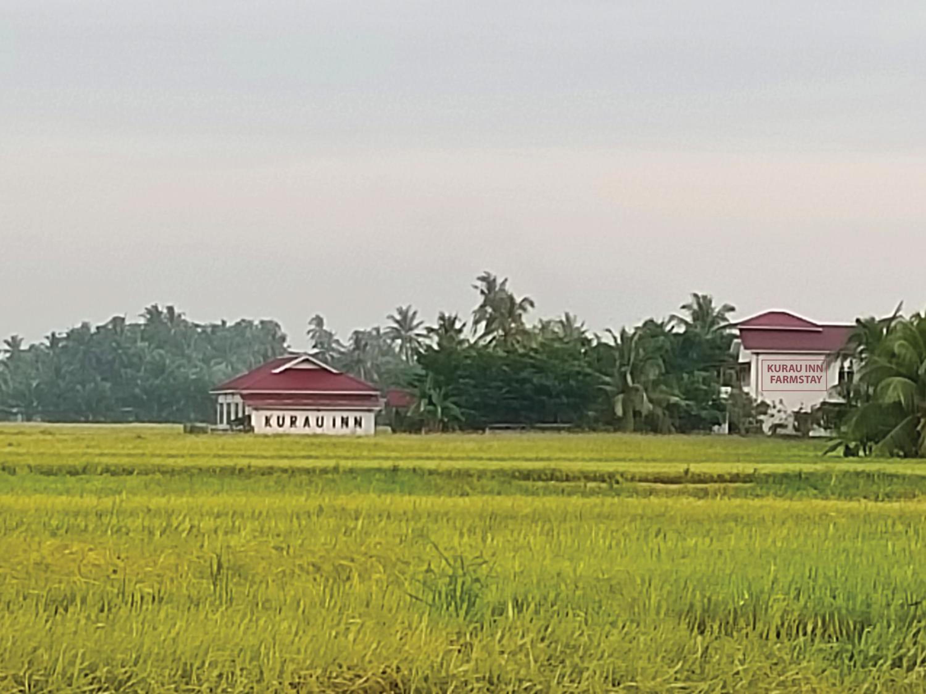 Kurau Inn Boutique Farmstay
