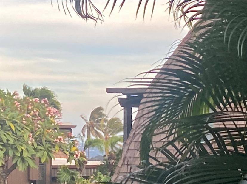 Hotel Black Sands Beach Condo with Full Kitchen