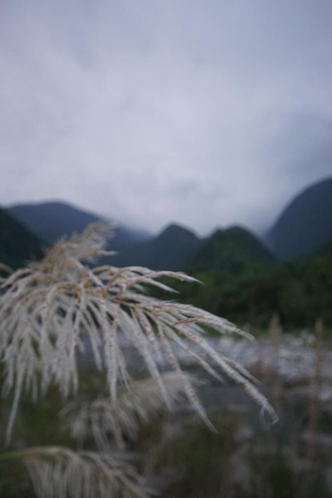 SongYue Homestay view 2