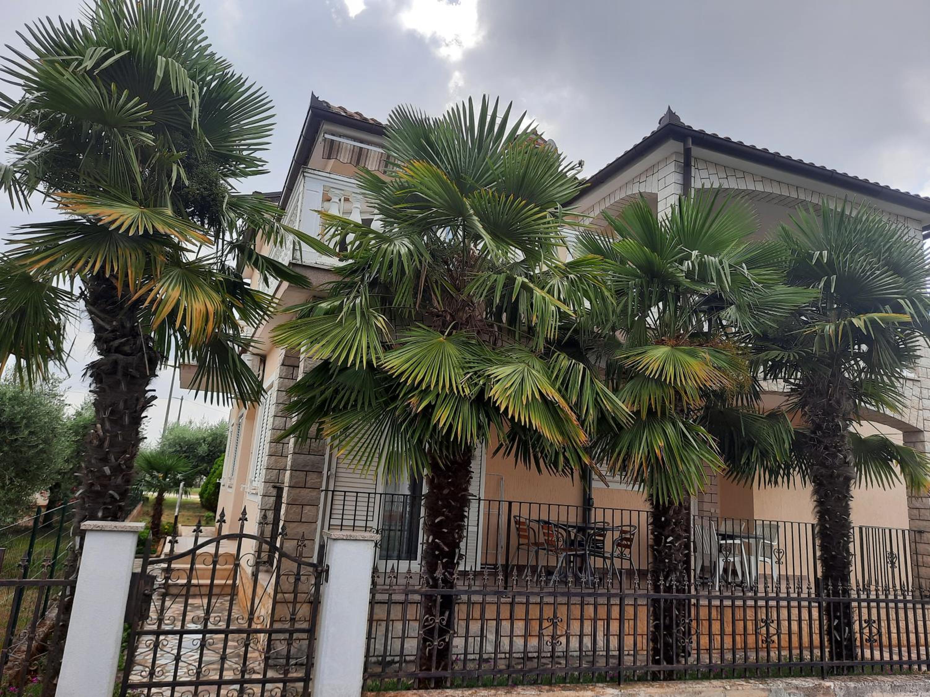 Apartments Marinela - Property Image 8