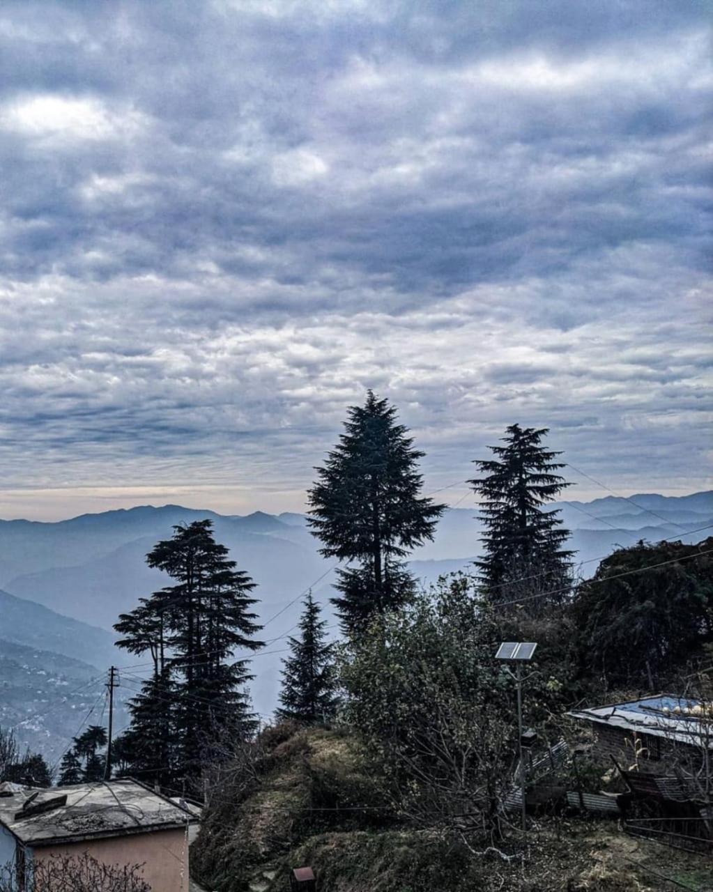 Odyssey Stays Kotgarh view 4