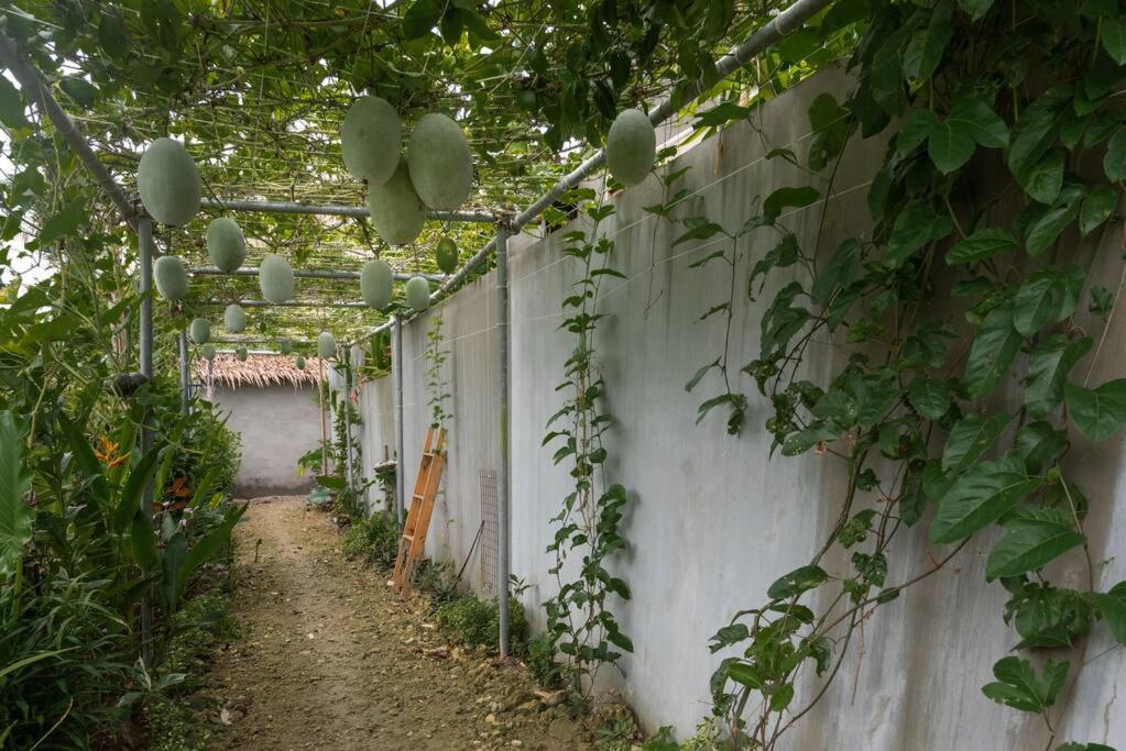 Alaia Hideaway