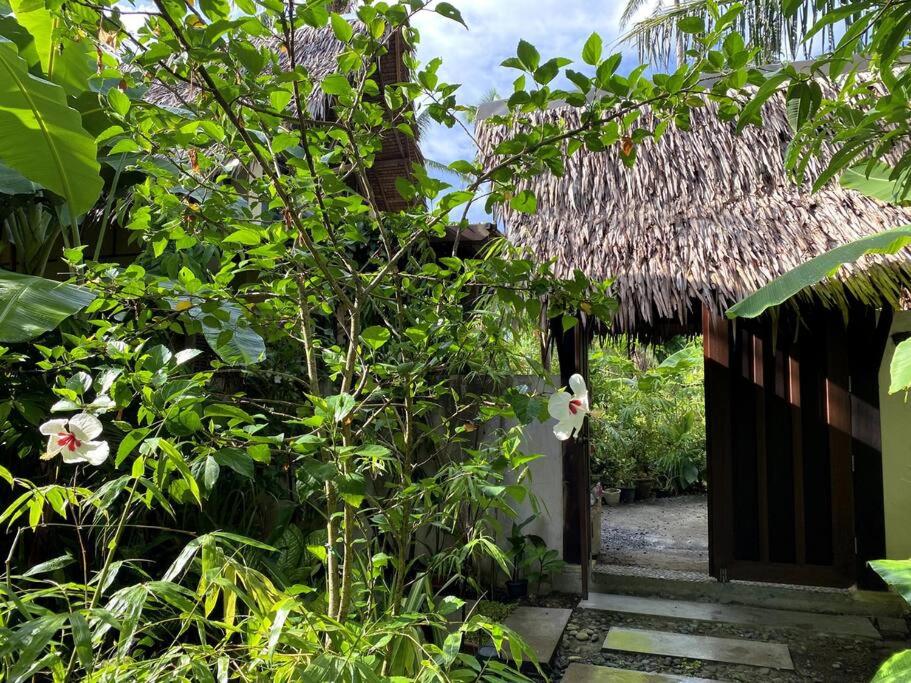 Alaia Hideaway