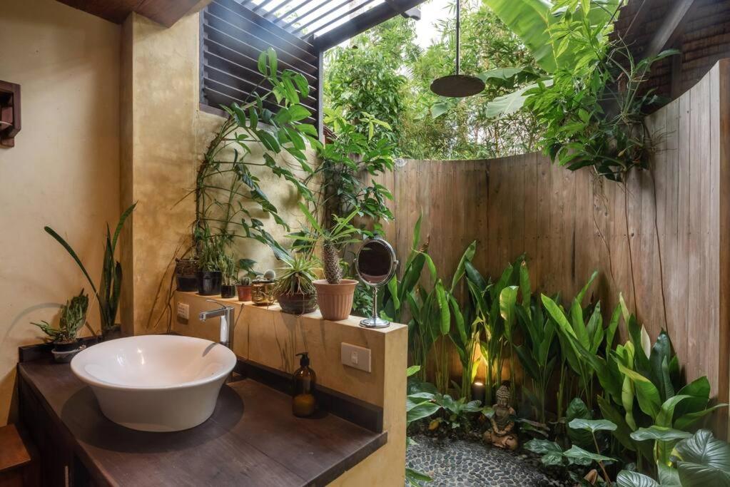 Alaia Hideaway