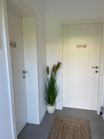 Apartments CLIFF Piran view 5
