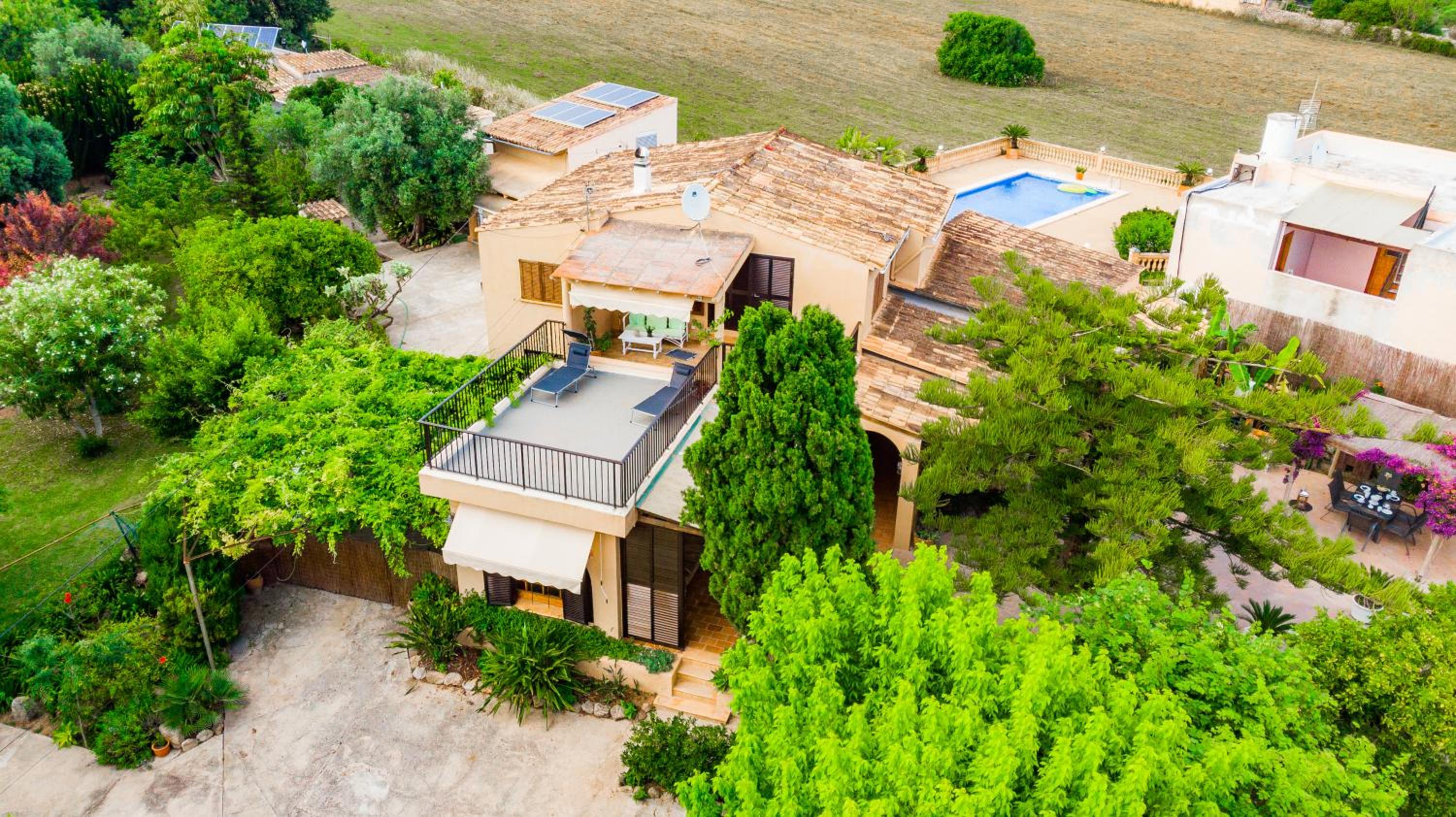 Finca MARIPOSA Alcudia view 5