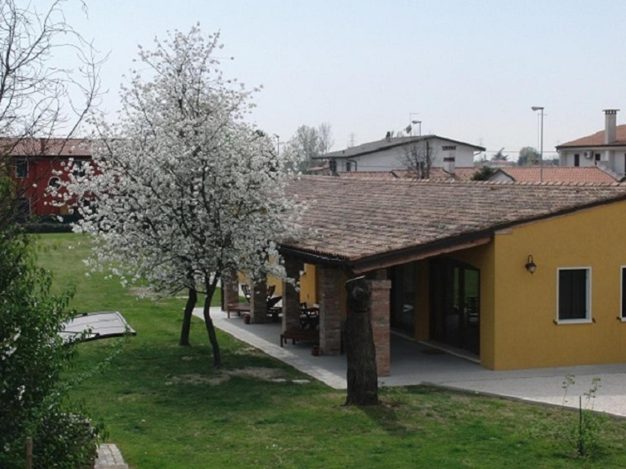 Particolari del Brenta view 3