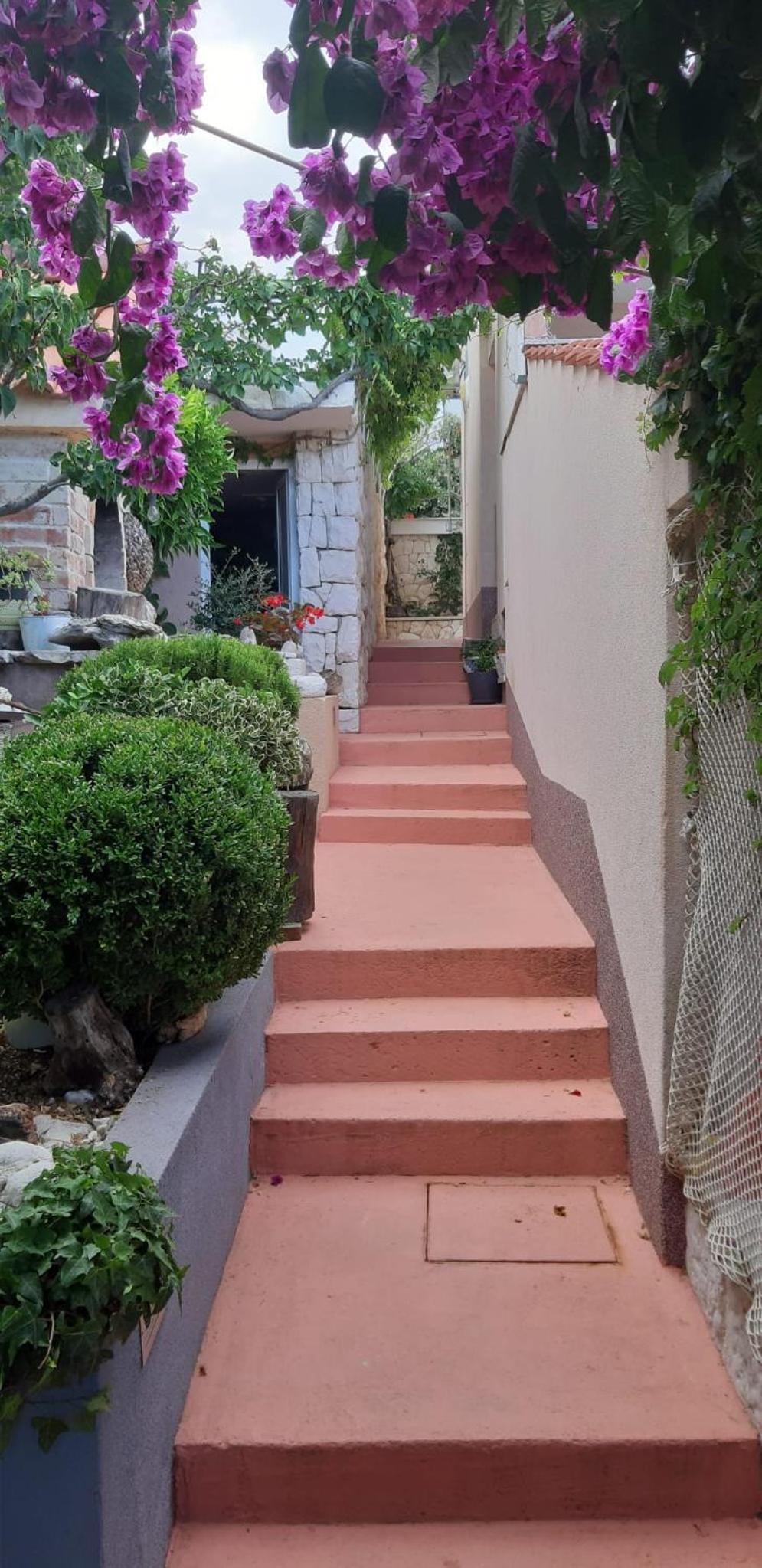 Apartments Luka