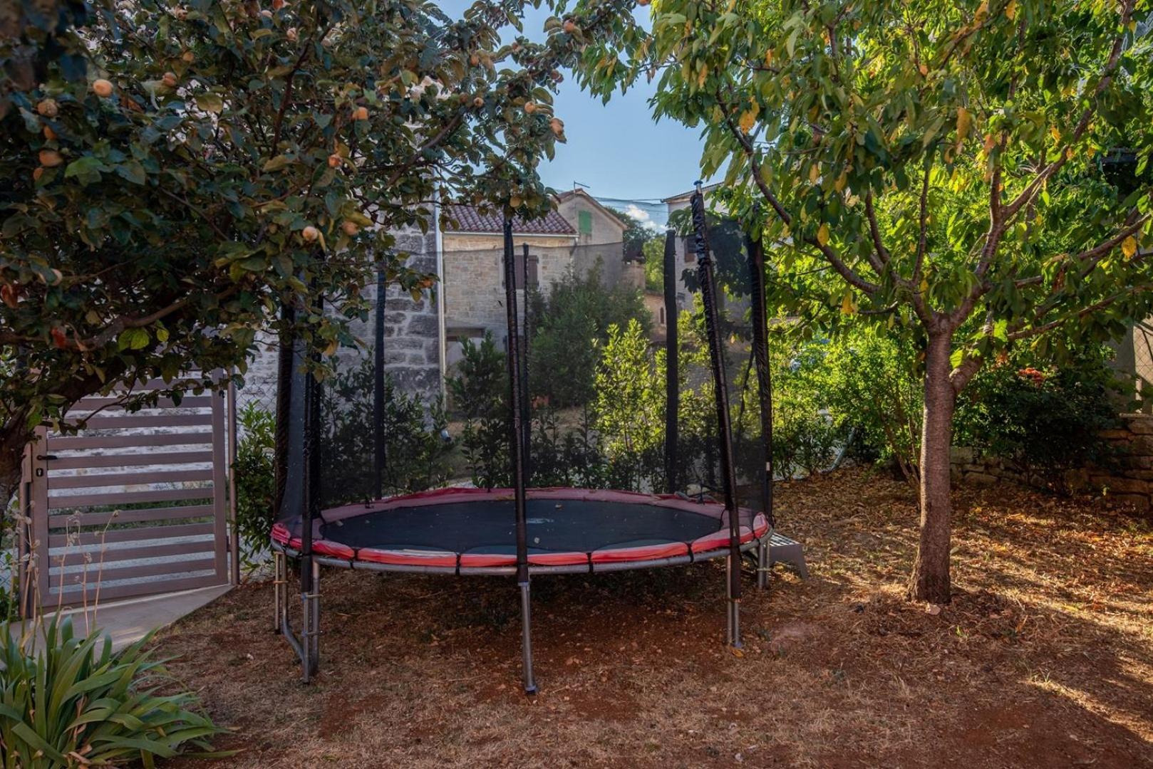 Vrsar Vacations - Apartment Mariuccia with Private Pool - Property Image 5