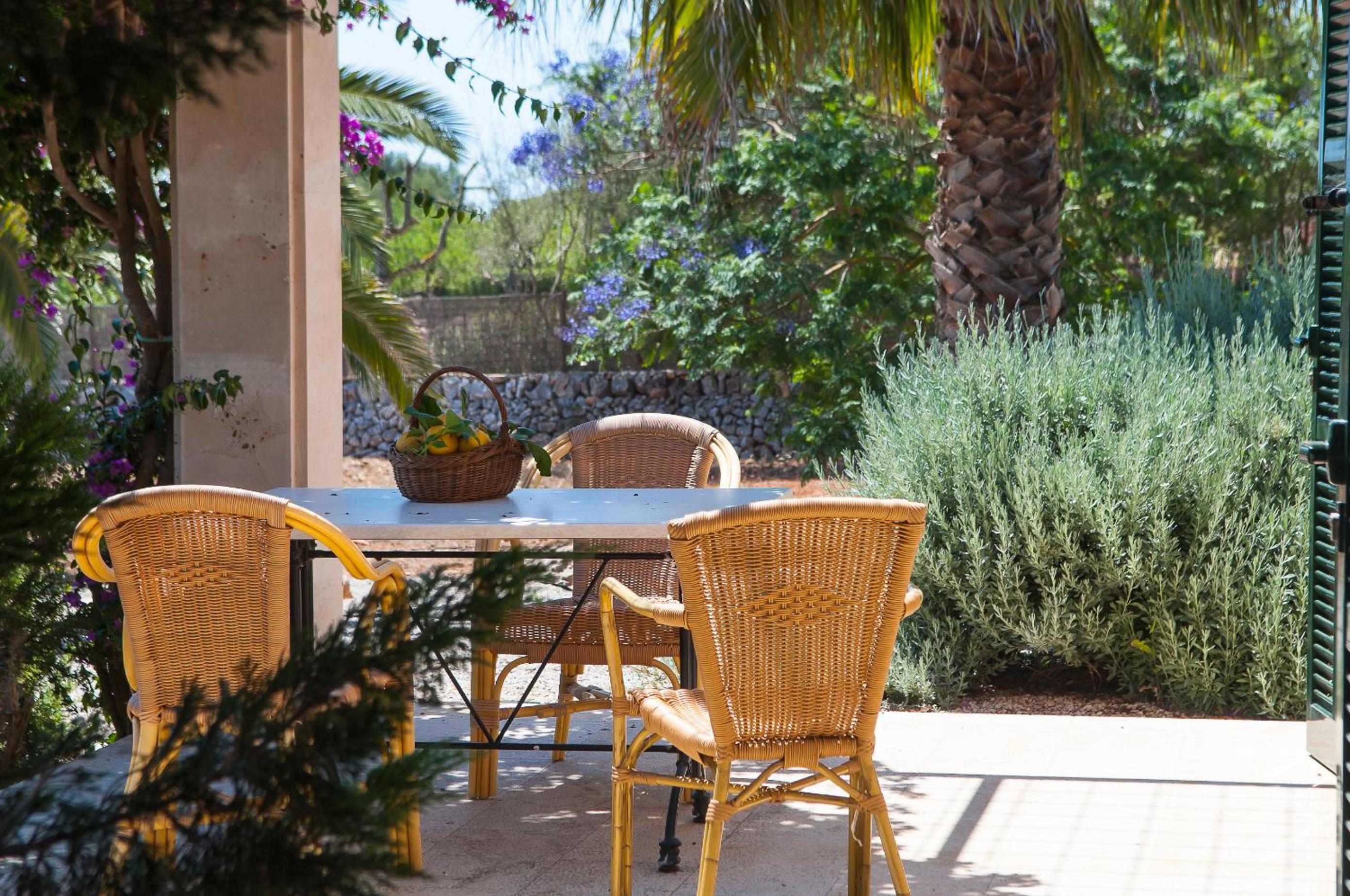 Finca Melis
