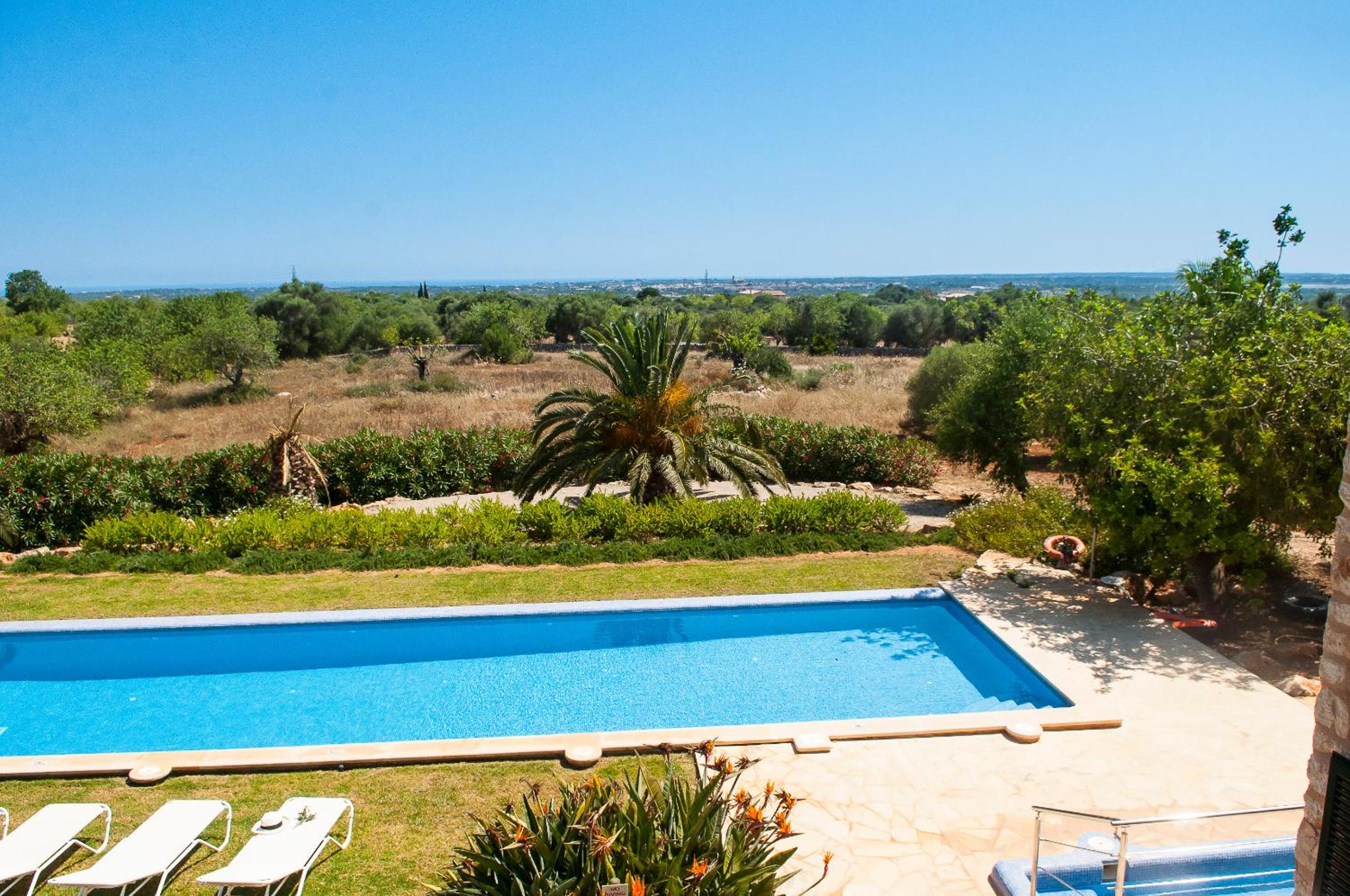 Finca Melis