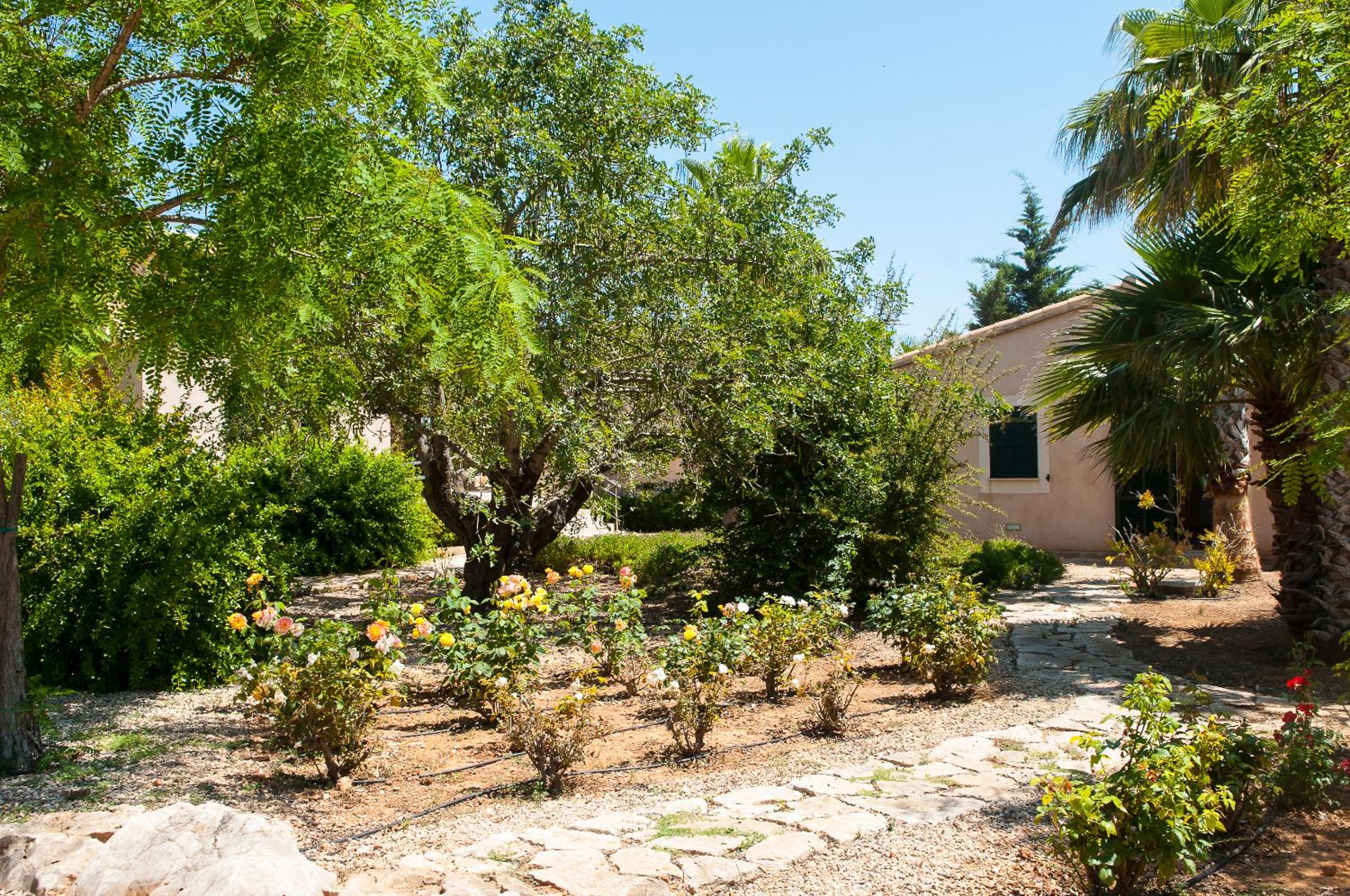 Finca Melis