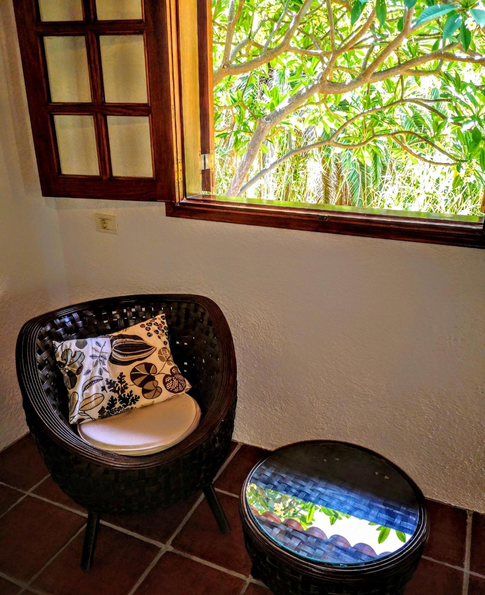 Tree of Life Gomera - natural paradise - peace & quite view 3