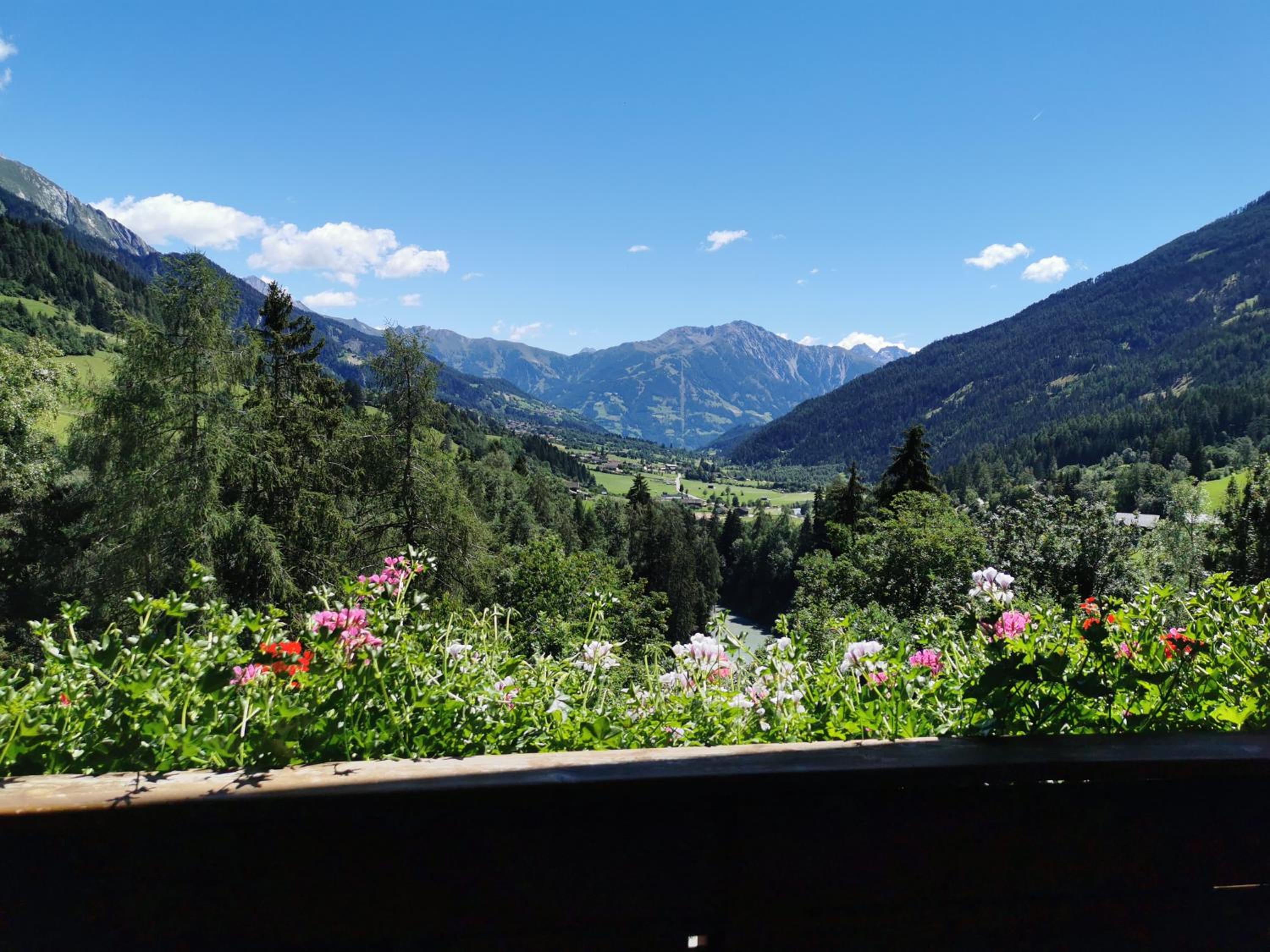Ferienwohnung Mühlburger view 5