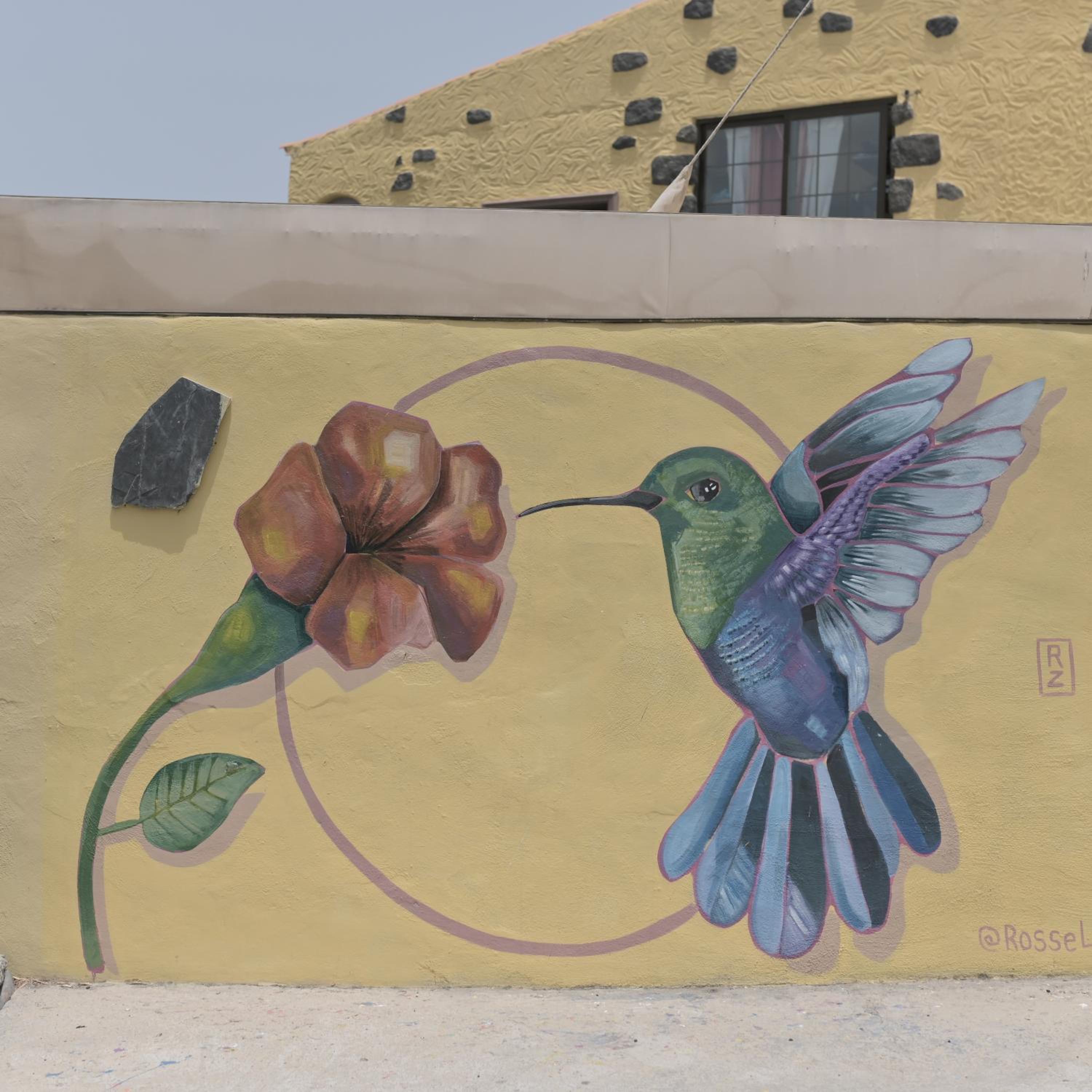 Los Amigos Nest Hostel