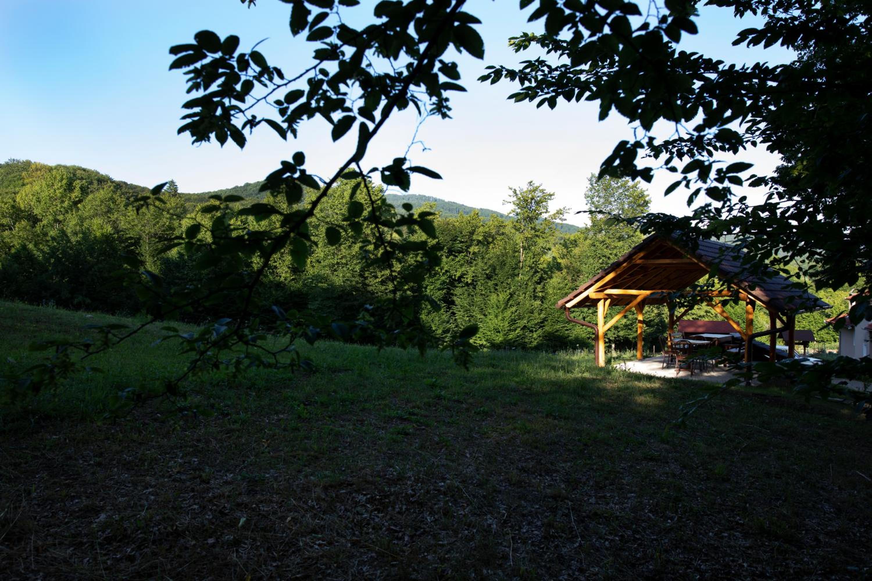 Photo 40