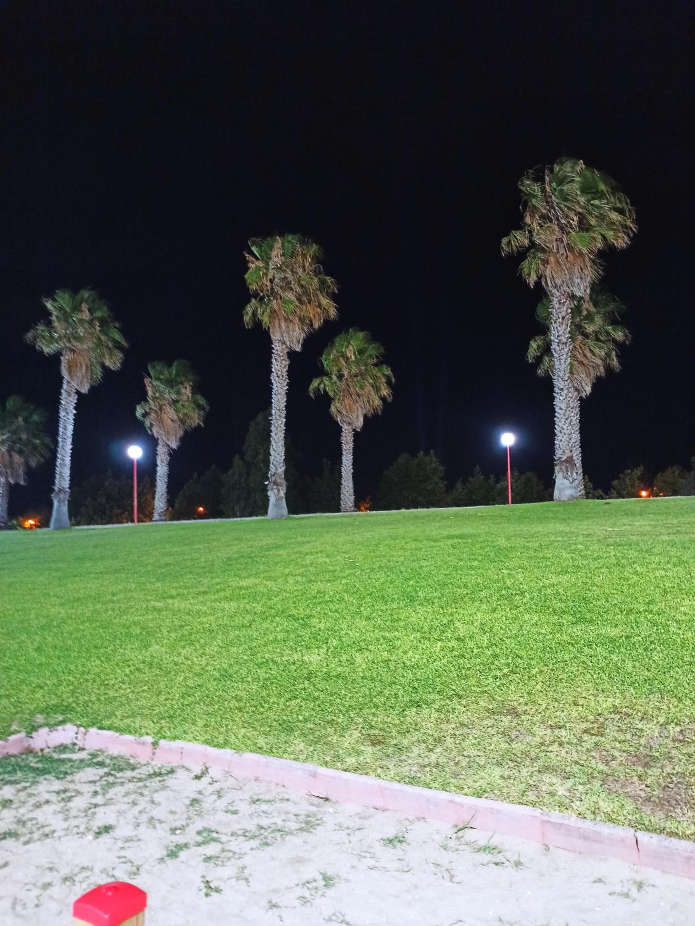Photo 29