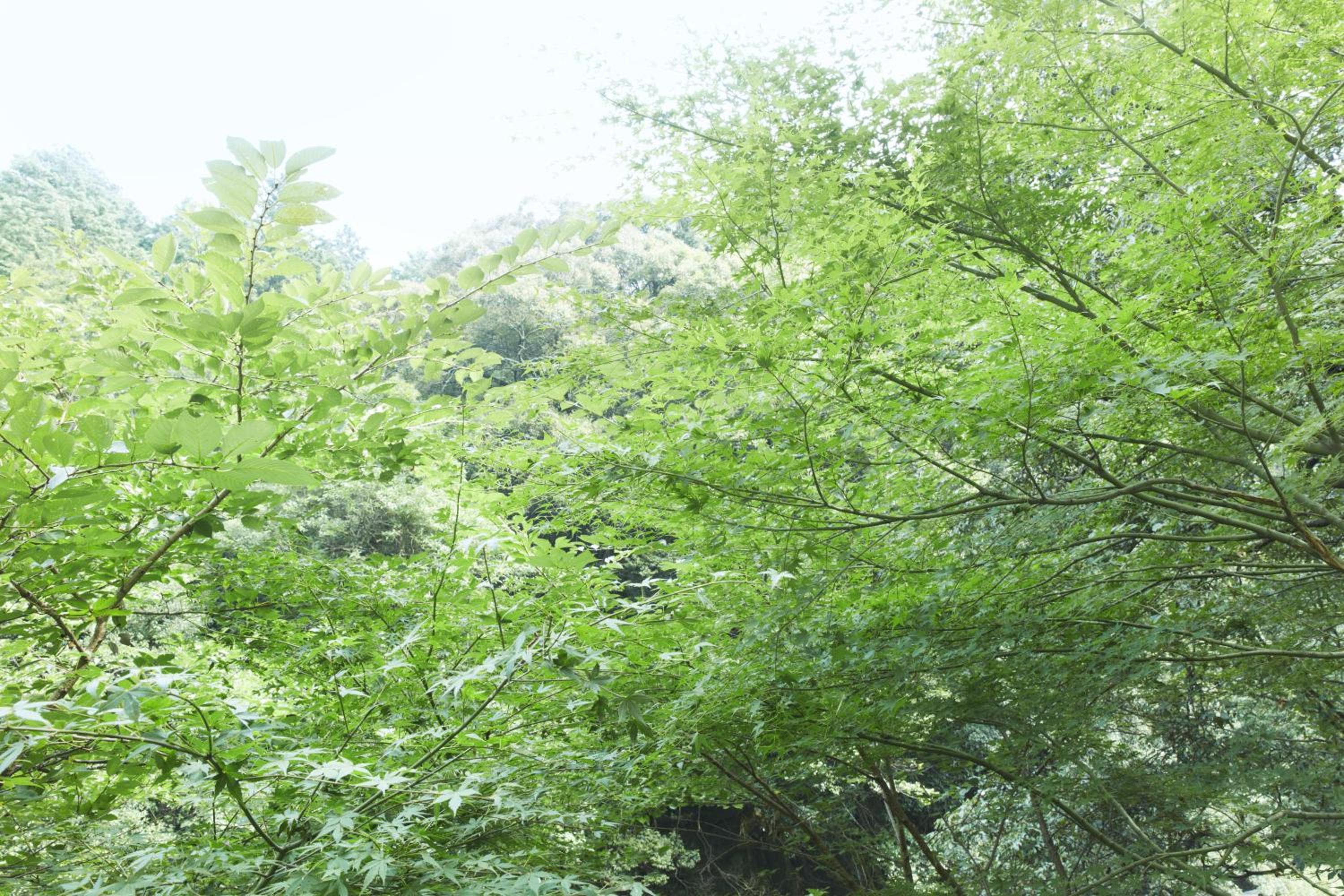 Fudoguchikan, photo 38