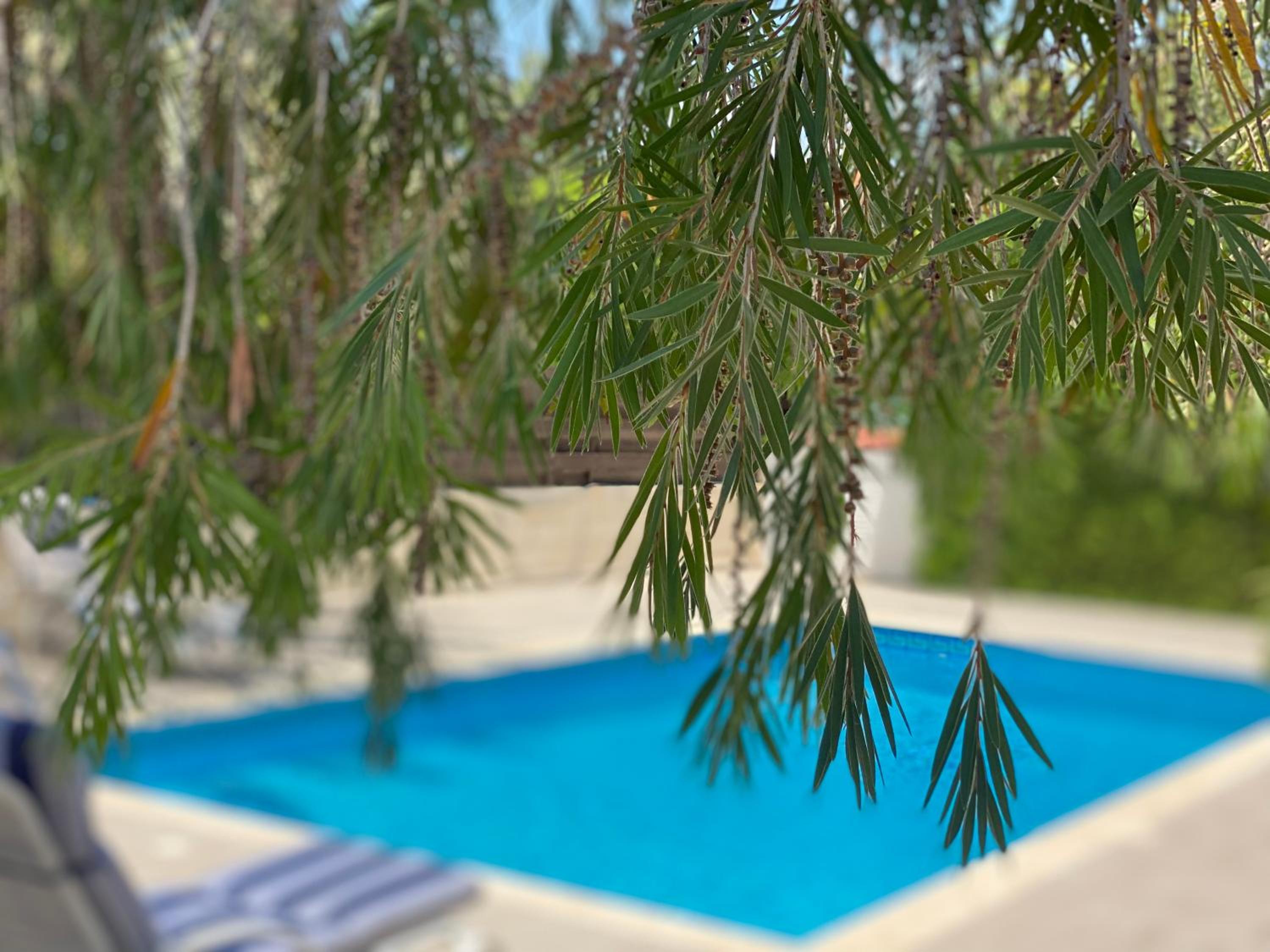 Exellent 3 bedroom Villa in Coral Bay view 2