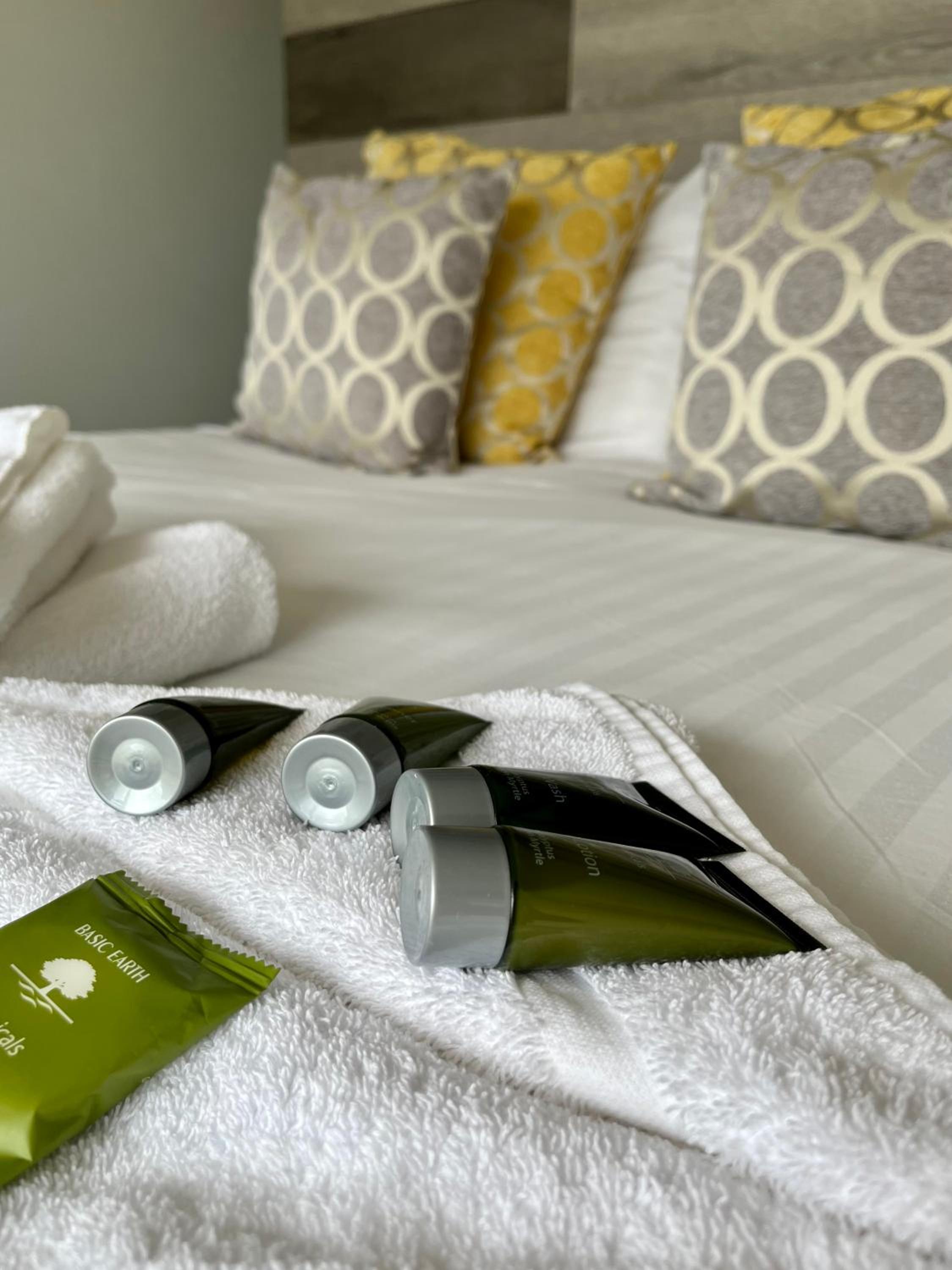 Hotel Whitsand Bay Tamar Suite - Image 1