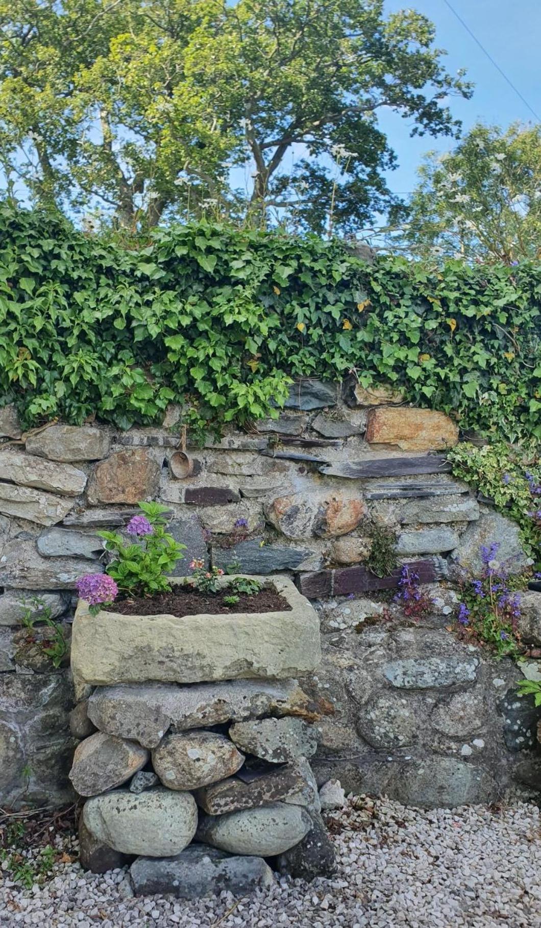 Photo 46