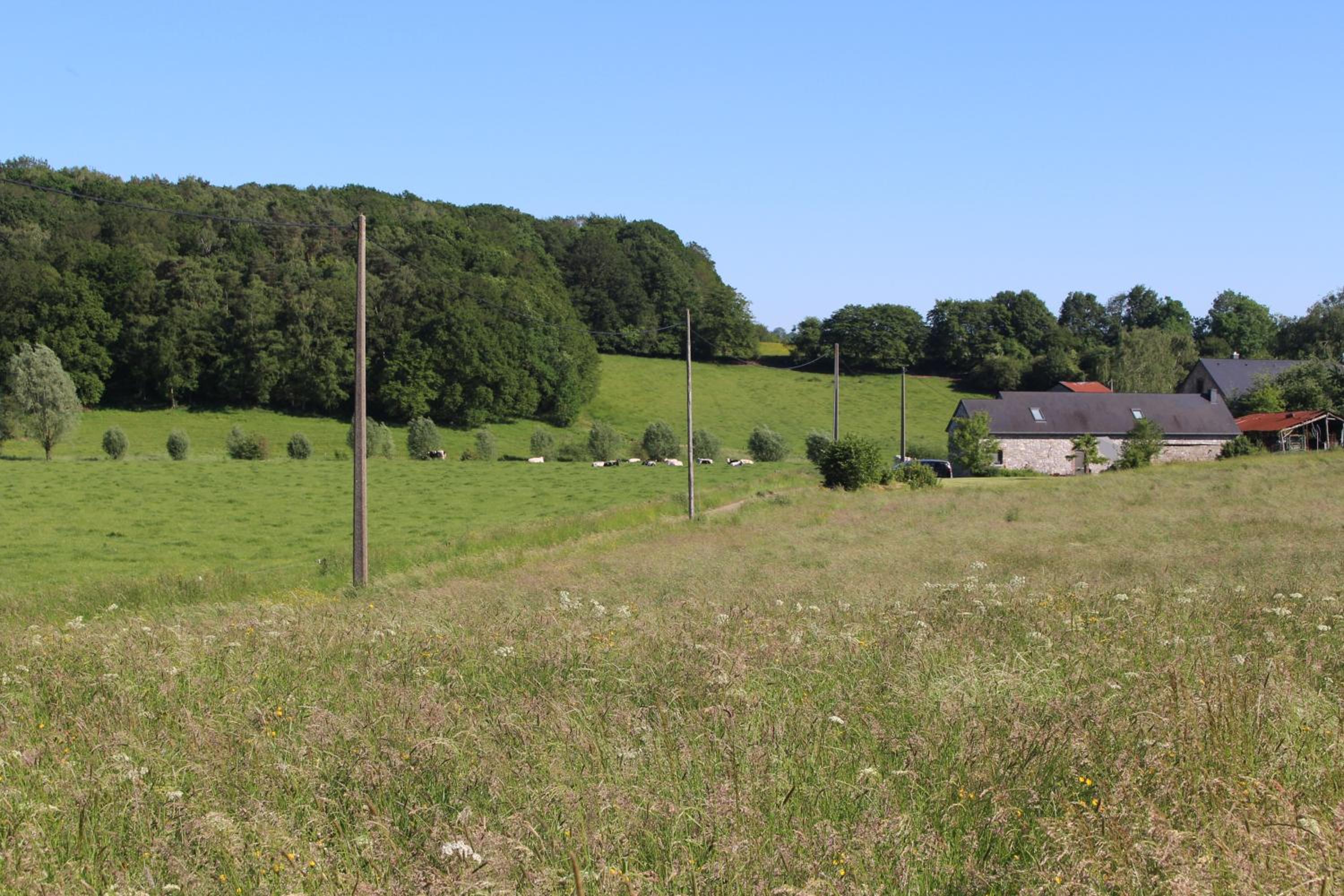 Gite de Baive