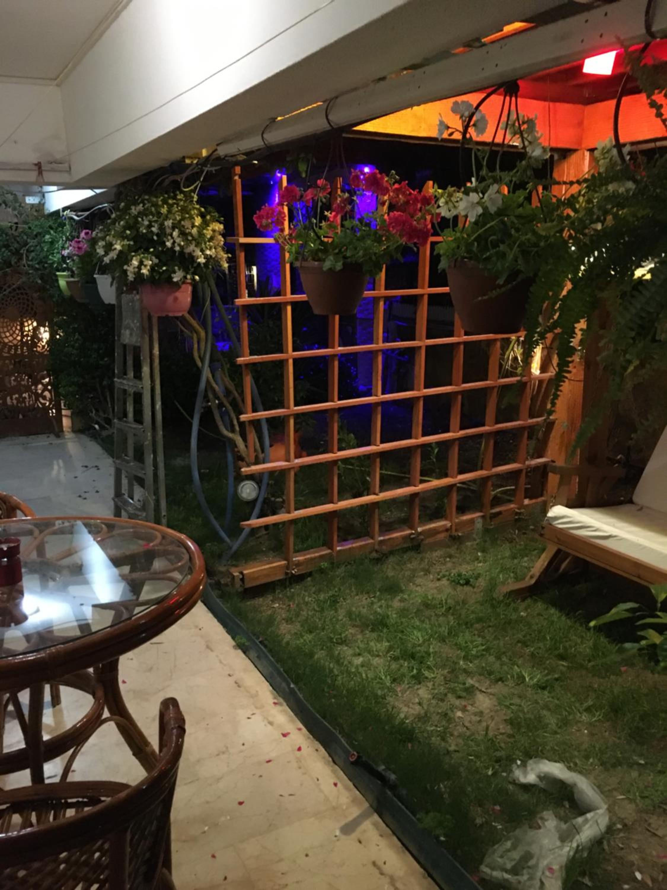 Orange Garden