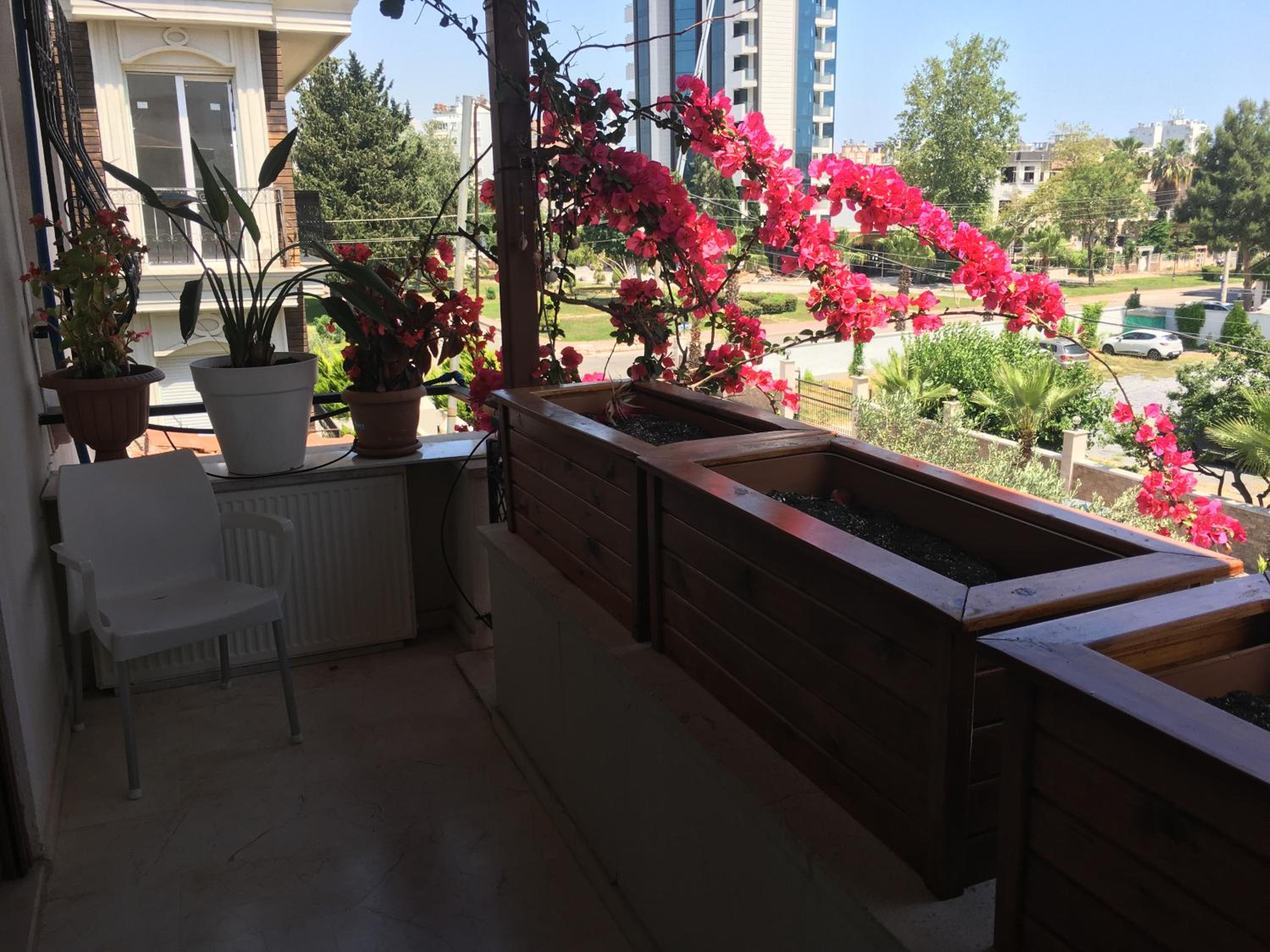 Orange Garden