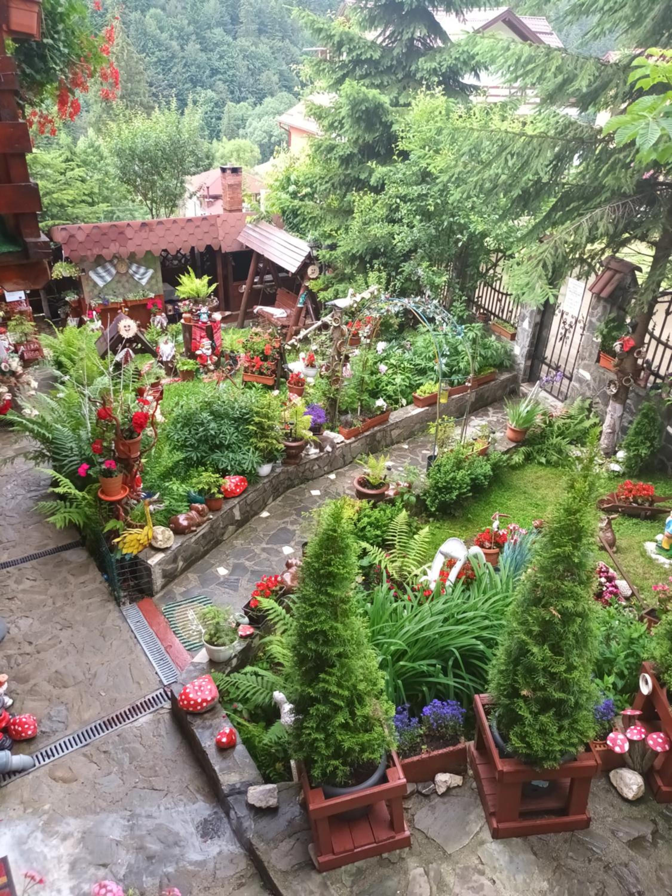 Photo 20