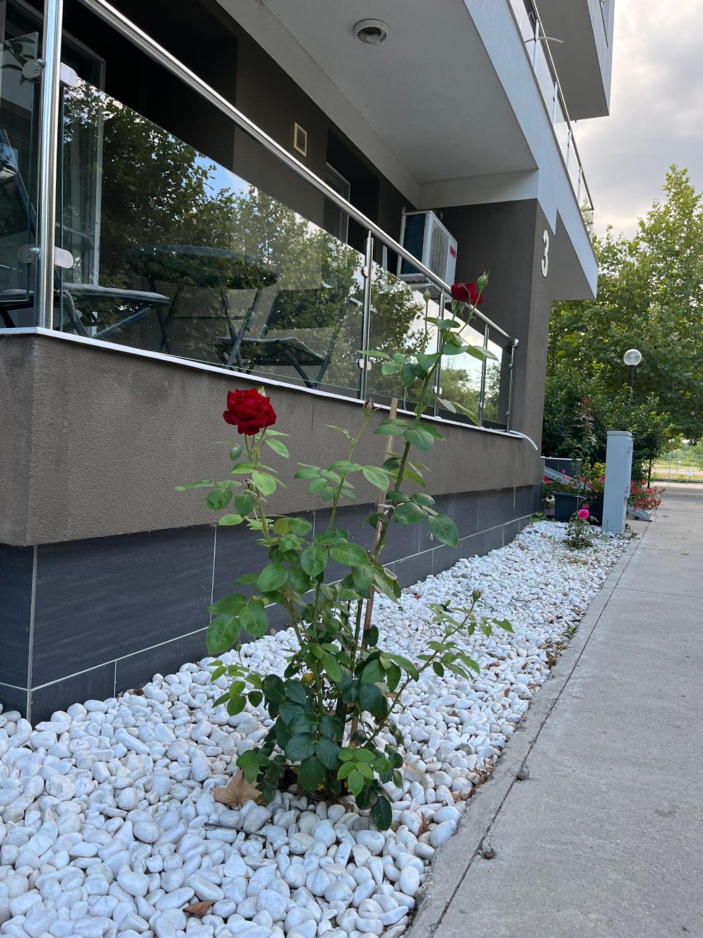 Photo 151