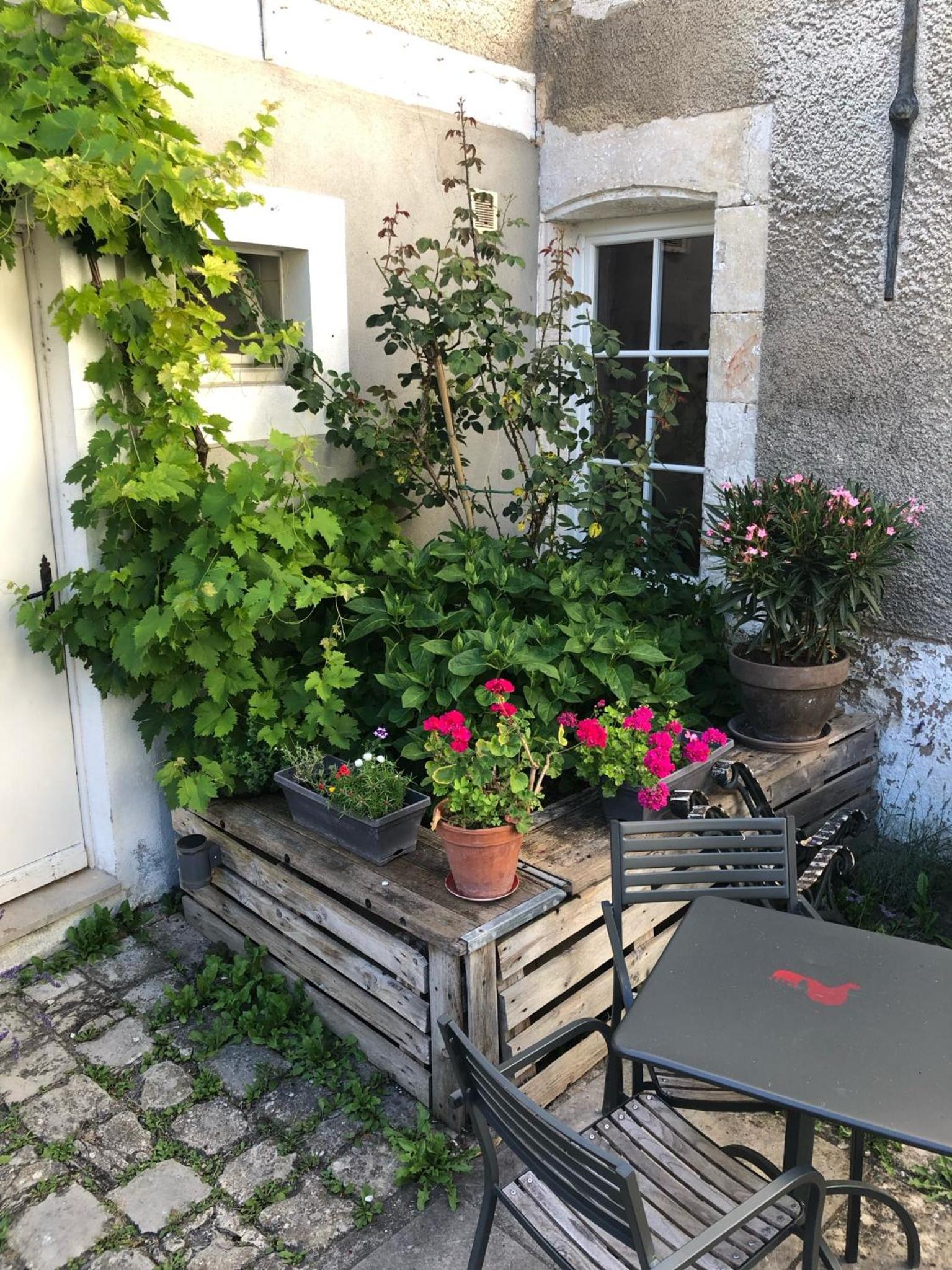 Photo 15