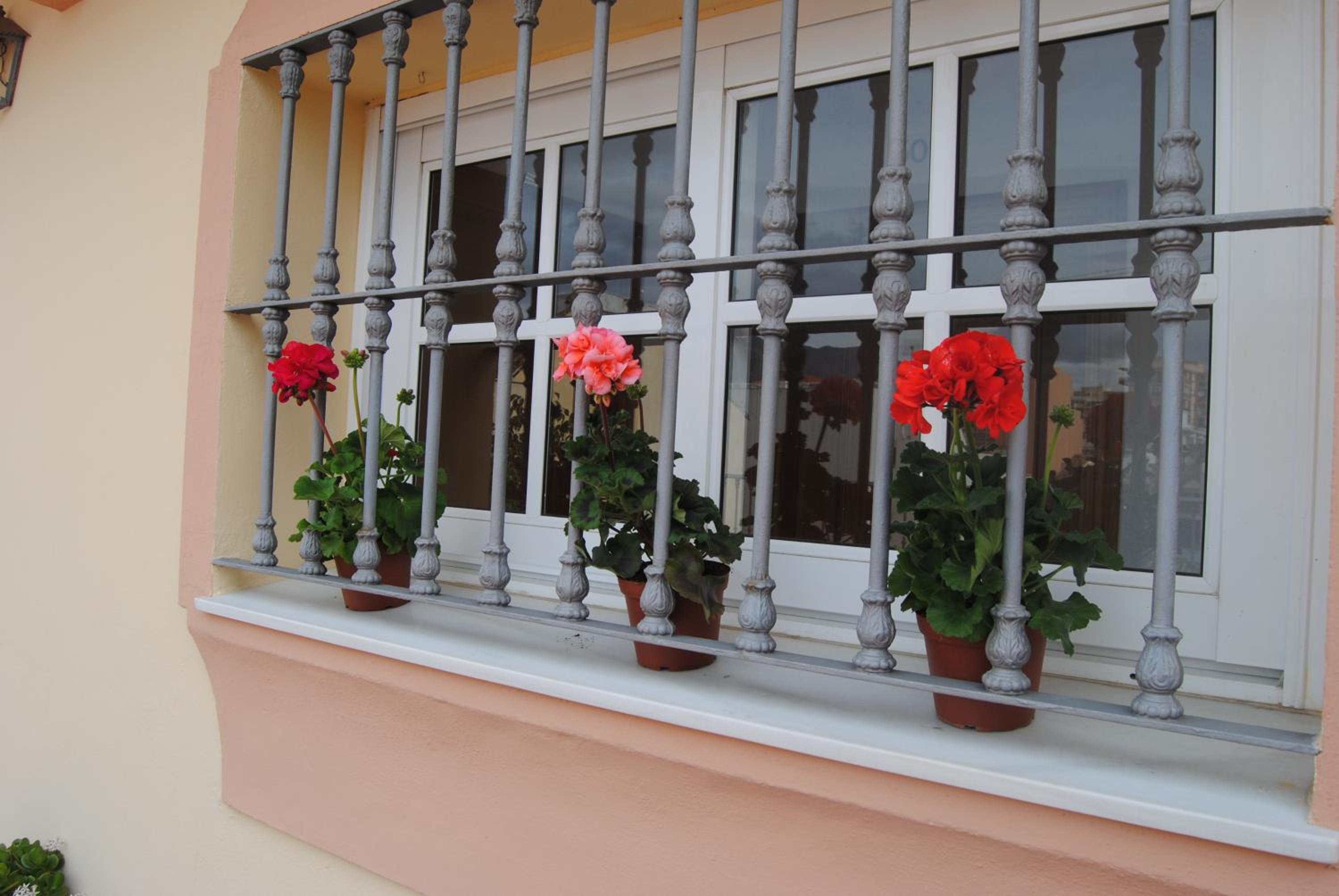 Hostal Italia