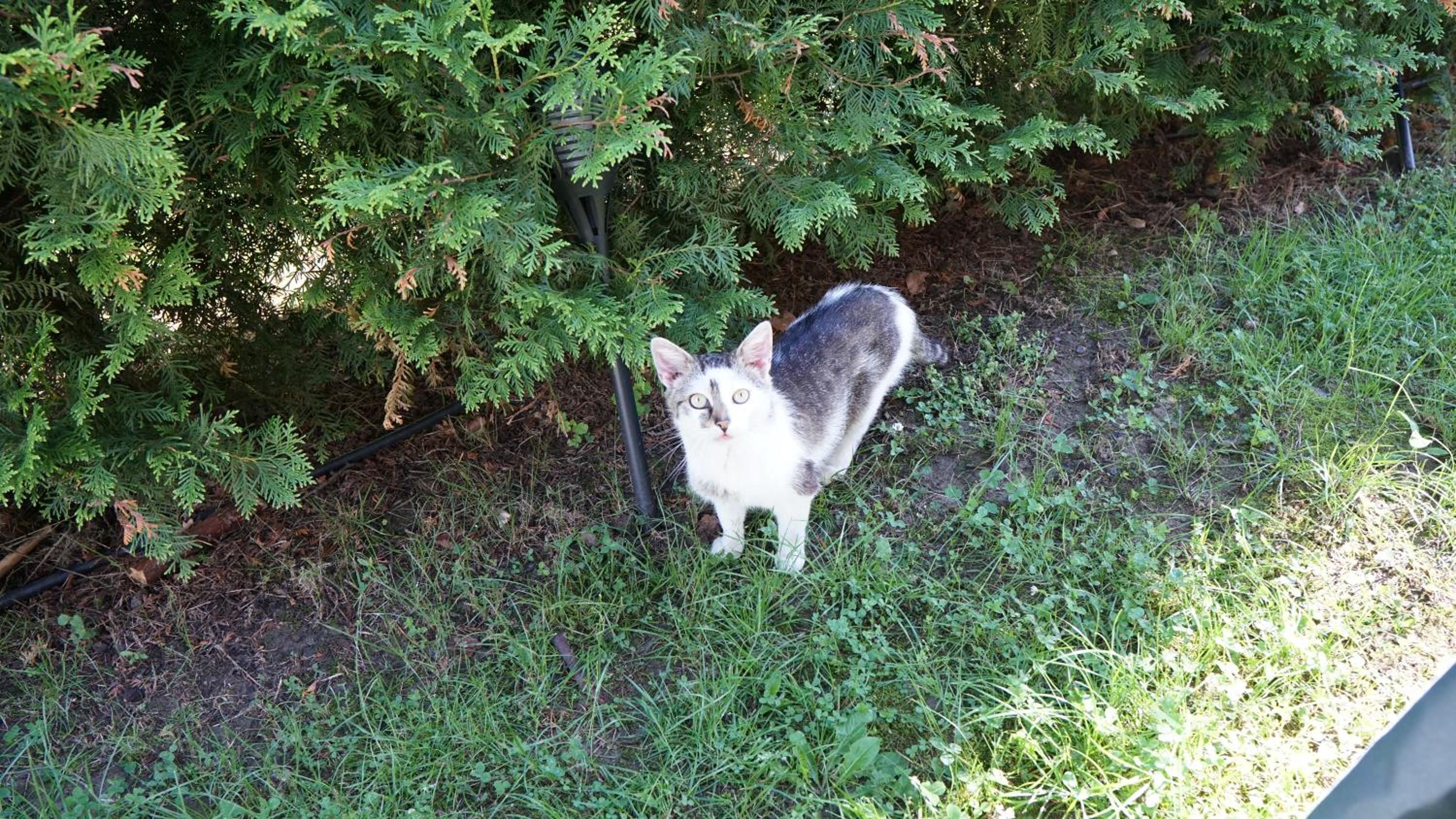 Photo 19