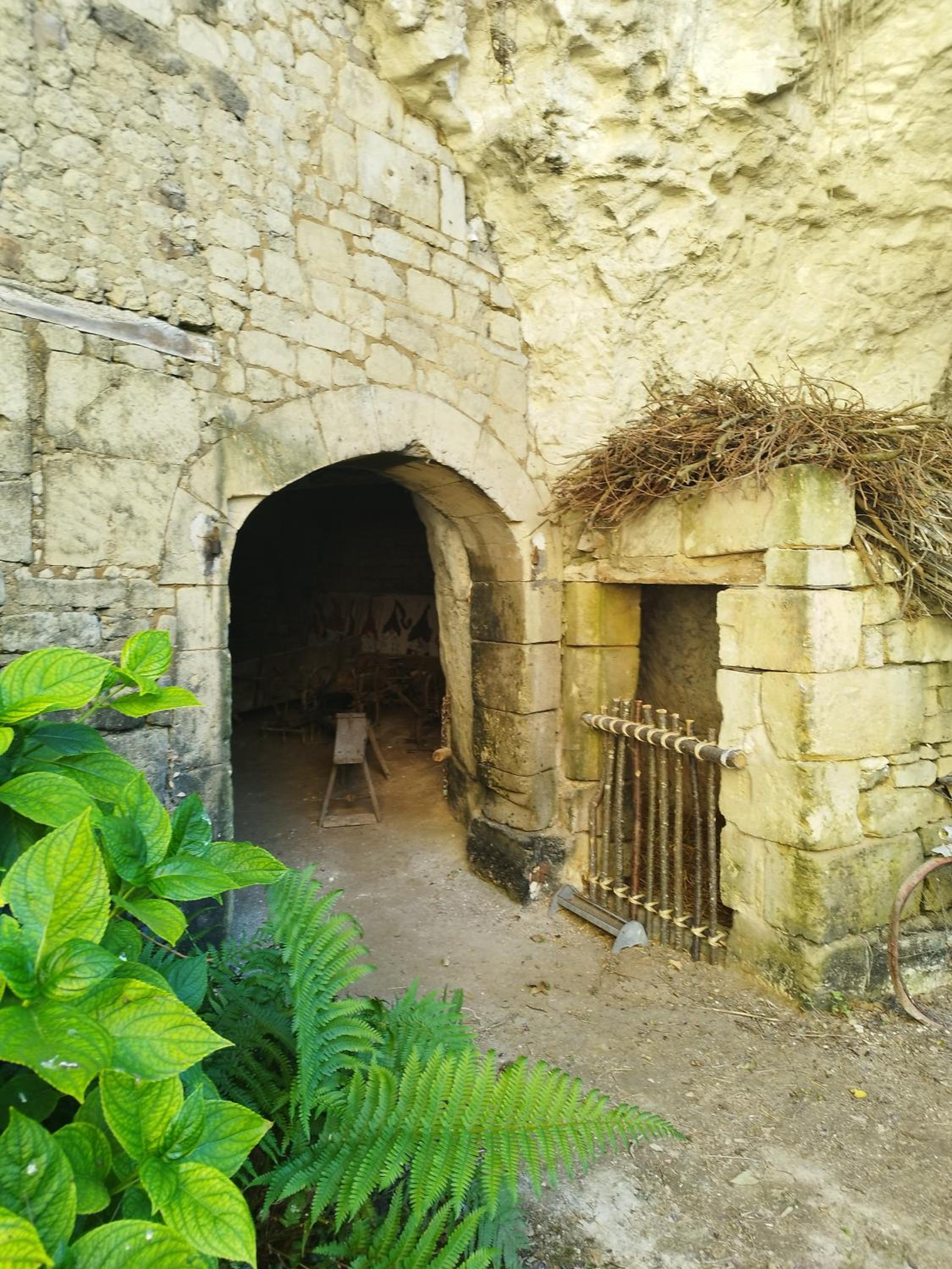Photo 26